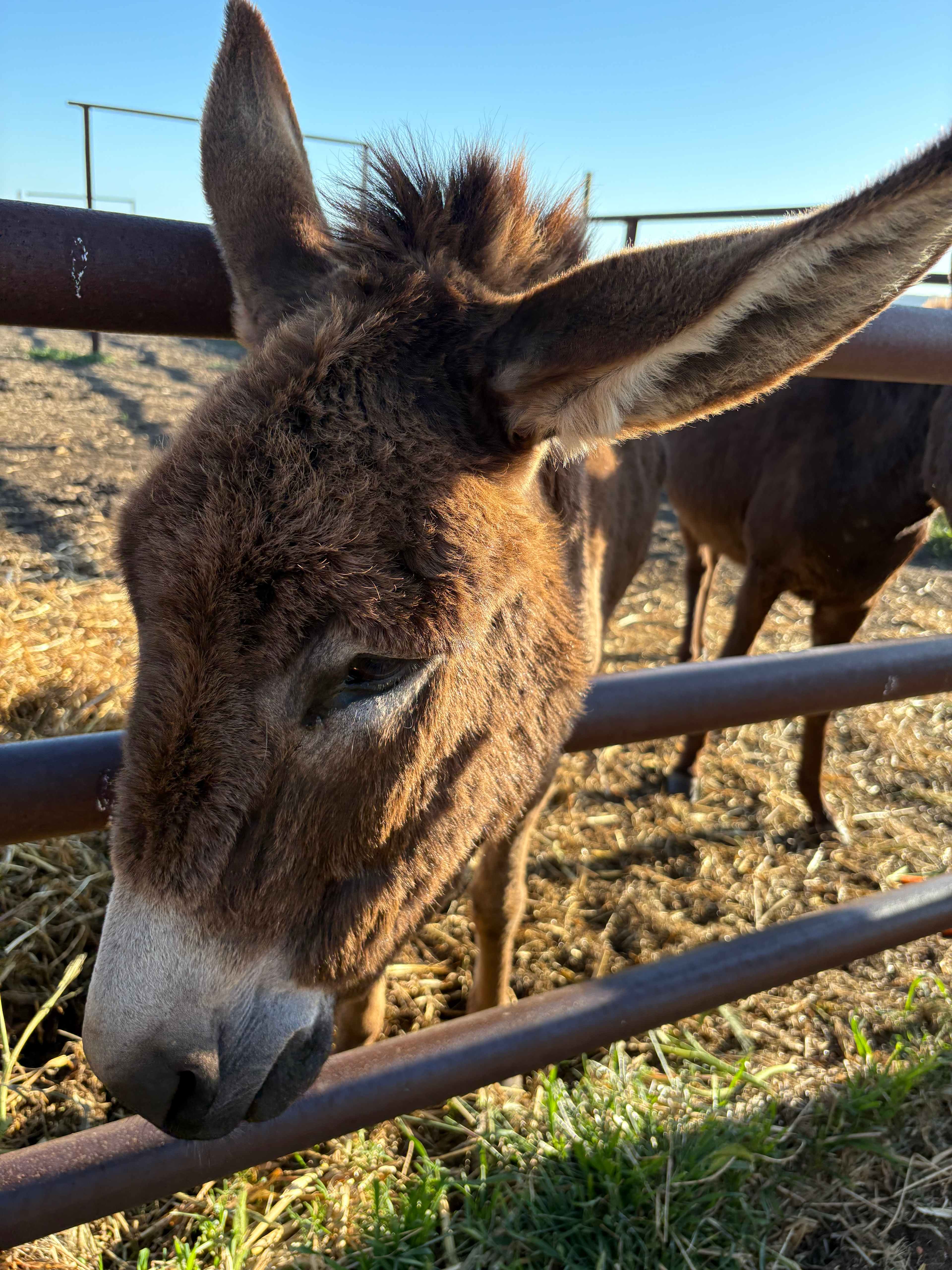Nambung Station Stay