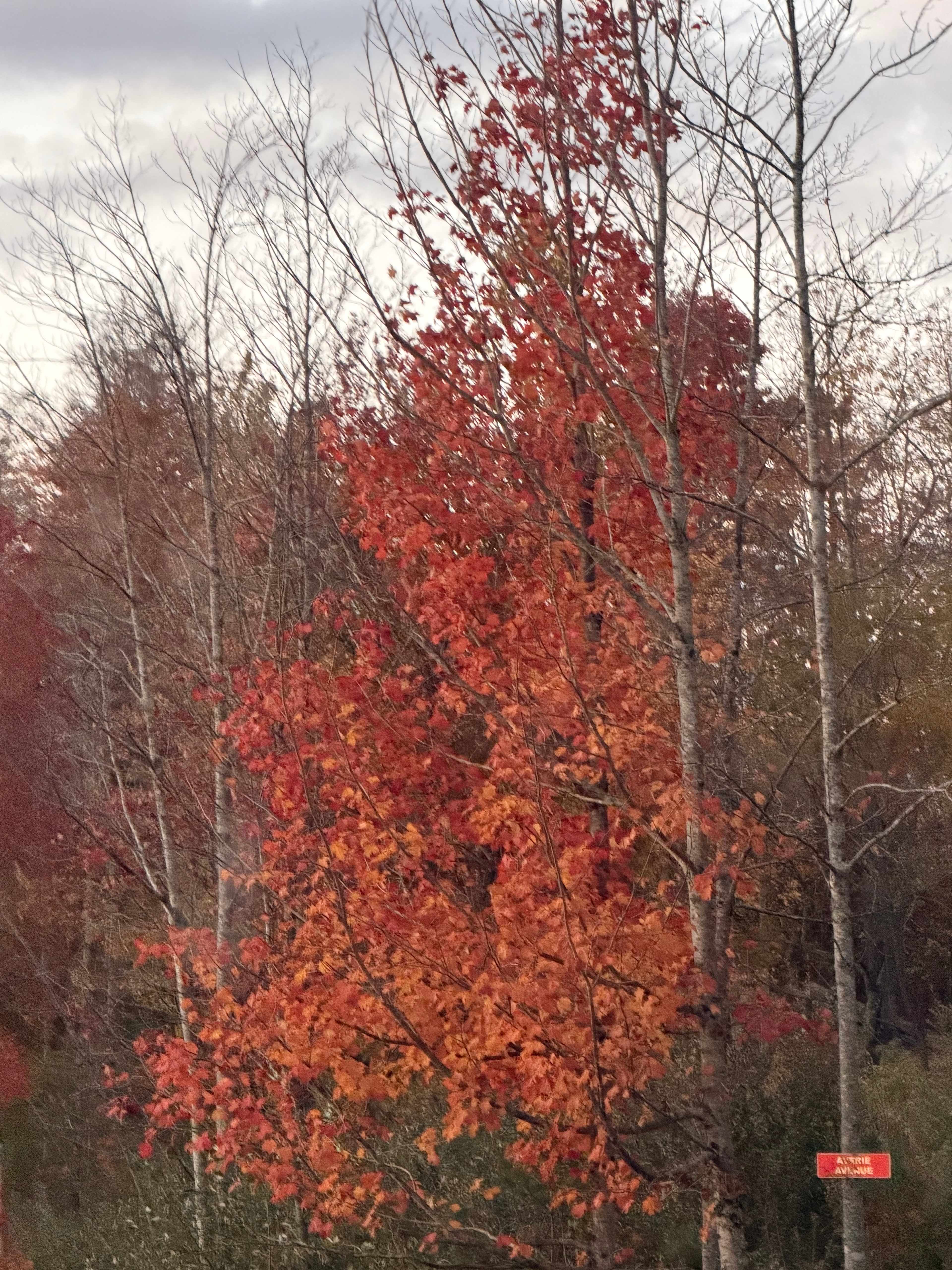 Beaver Lakes Campground LLC.