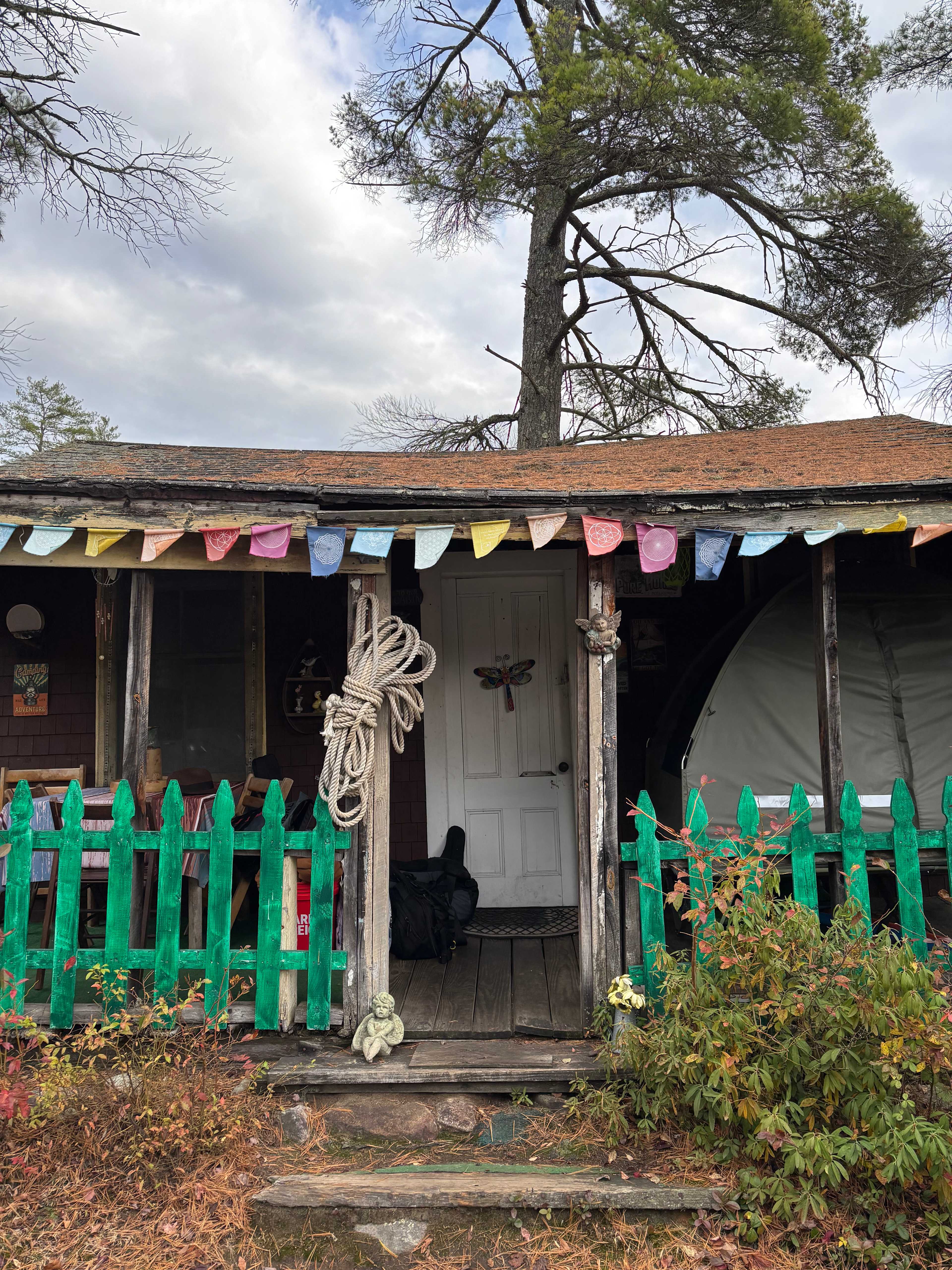 Salamander Hollow Healing Habitat