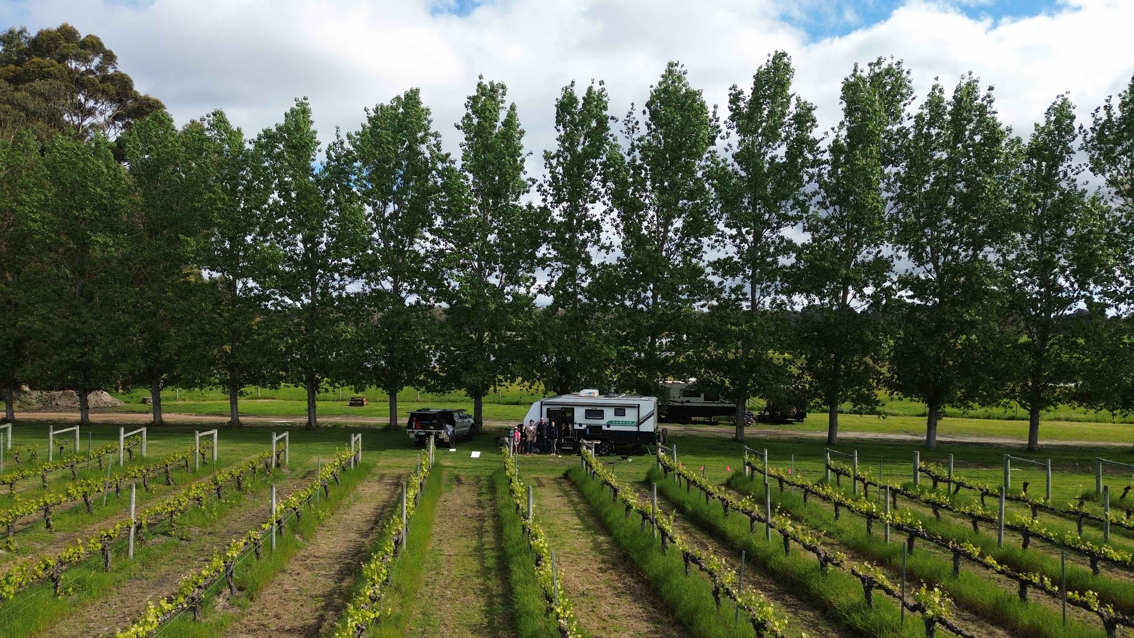 Jarvis Estate Winery & Camping