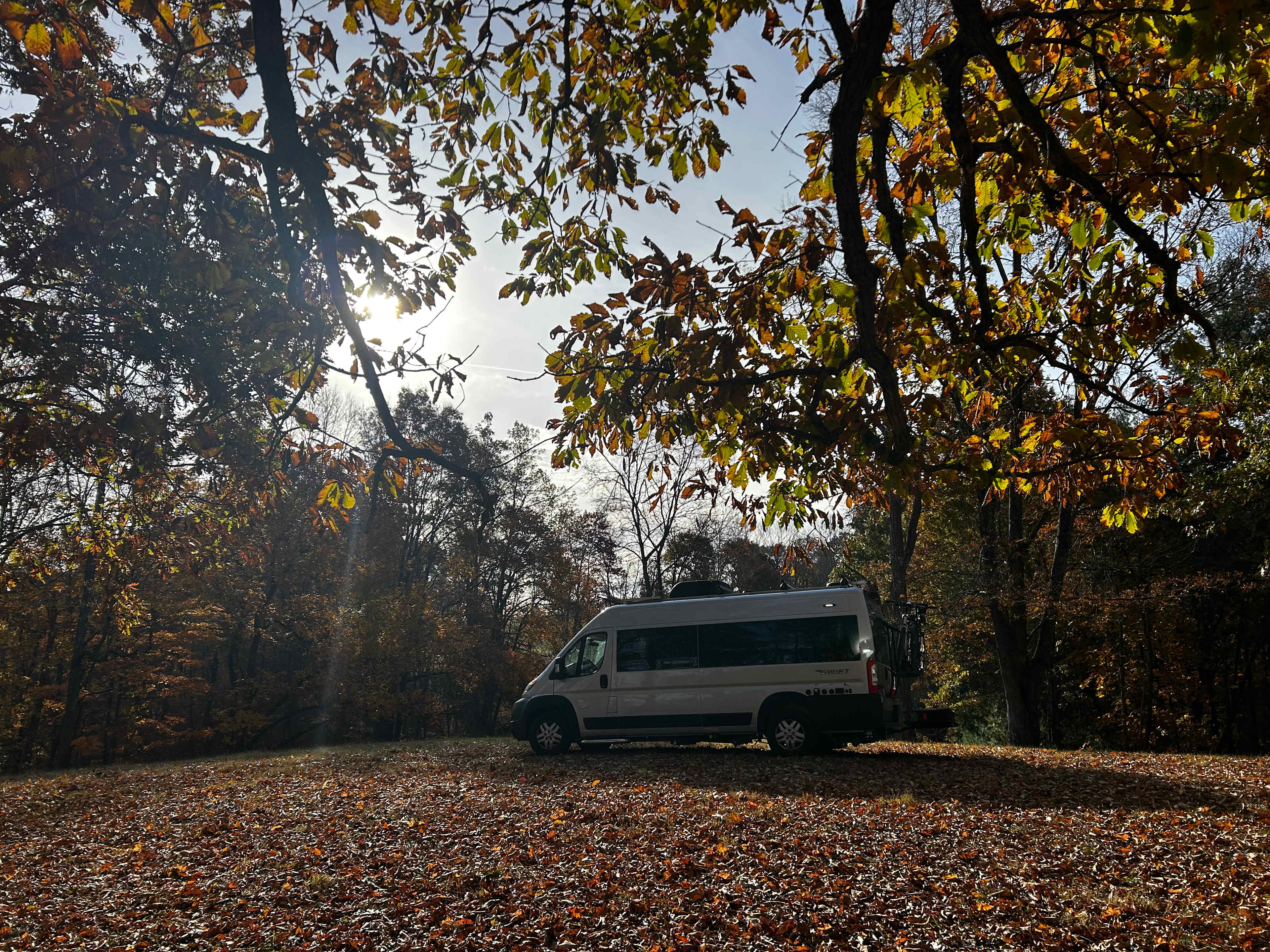 Starry Nights New River Gorge