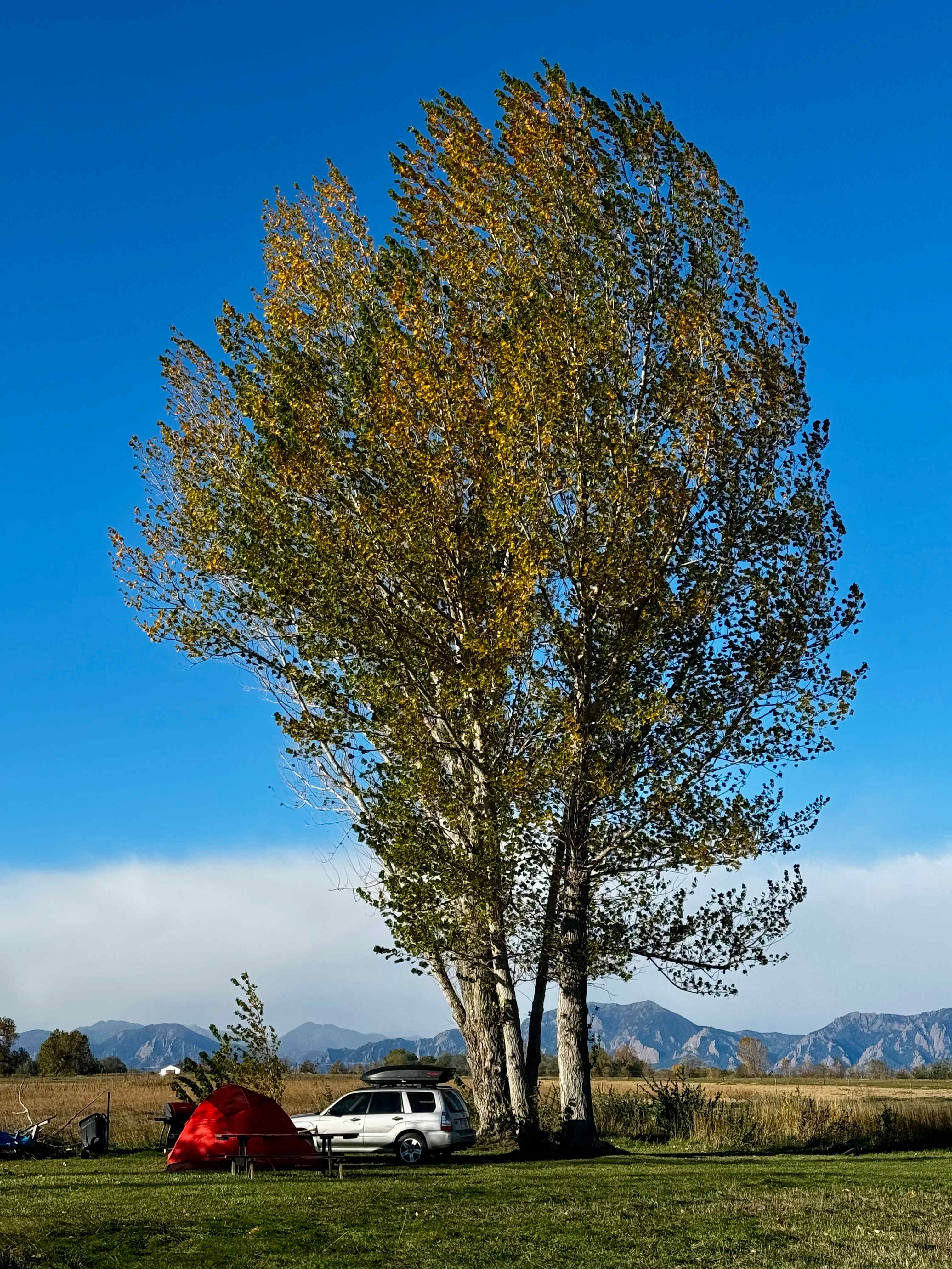 Montgomery Homestead