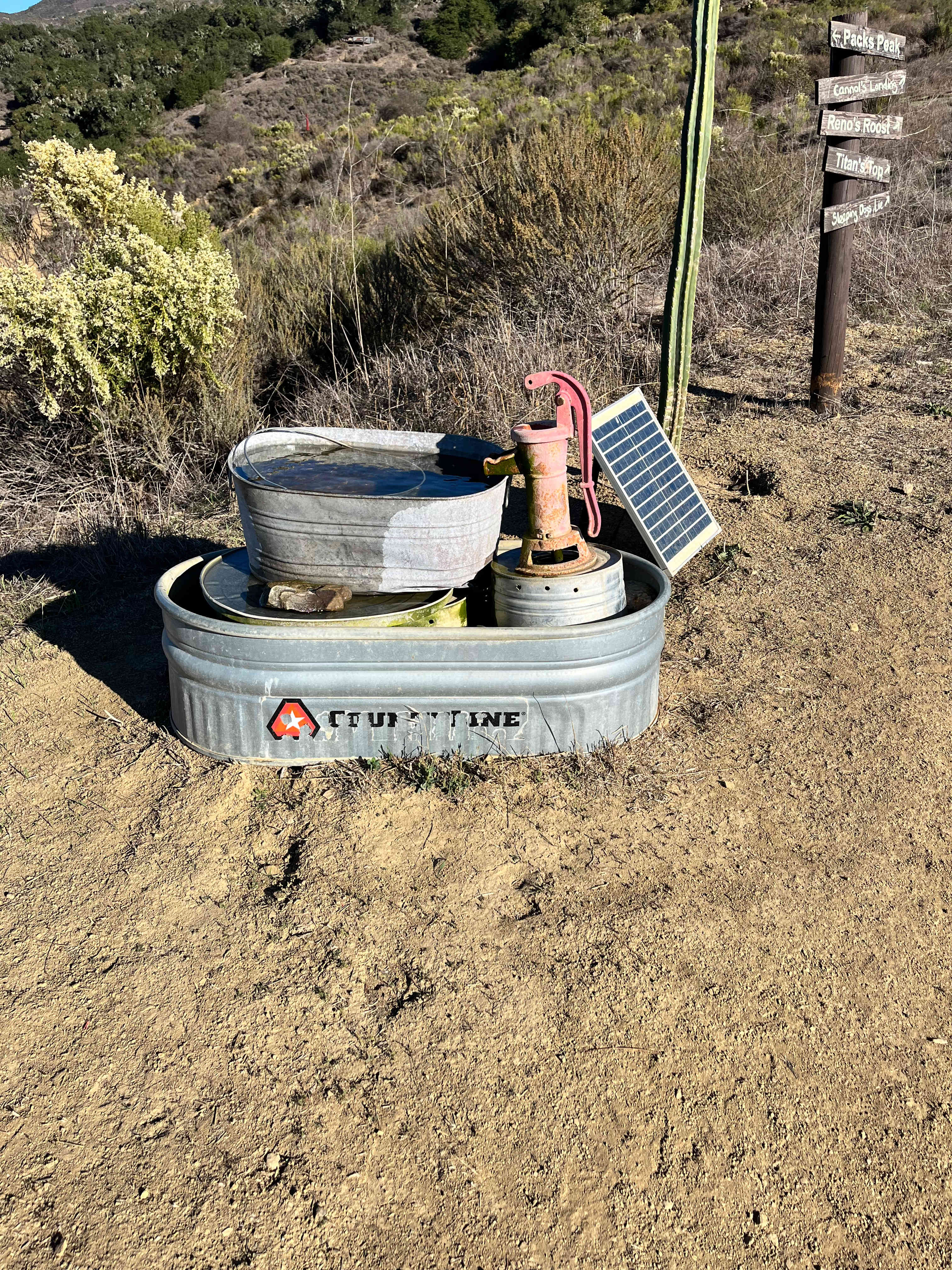 Water station for your dog