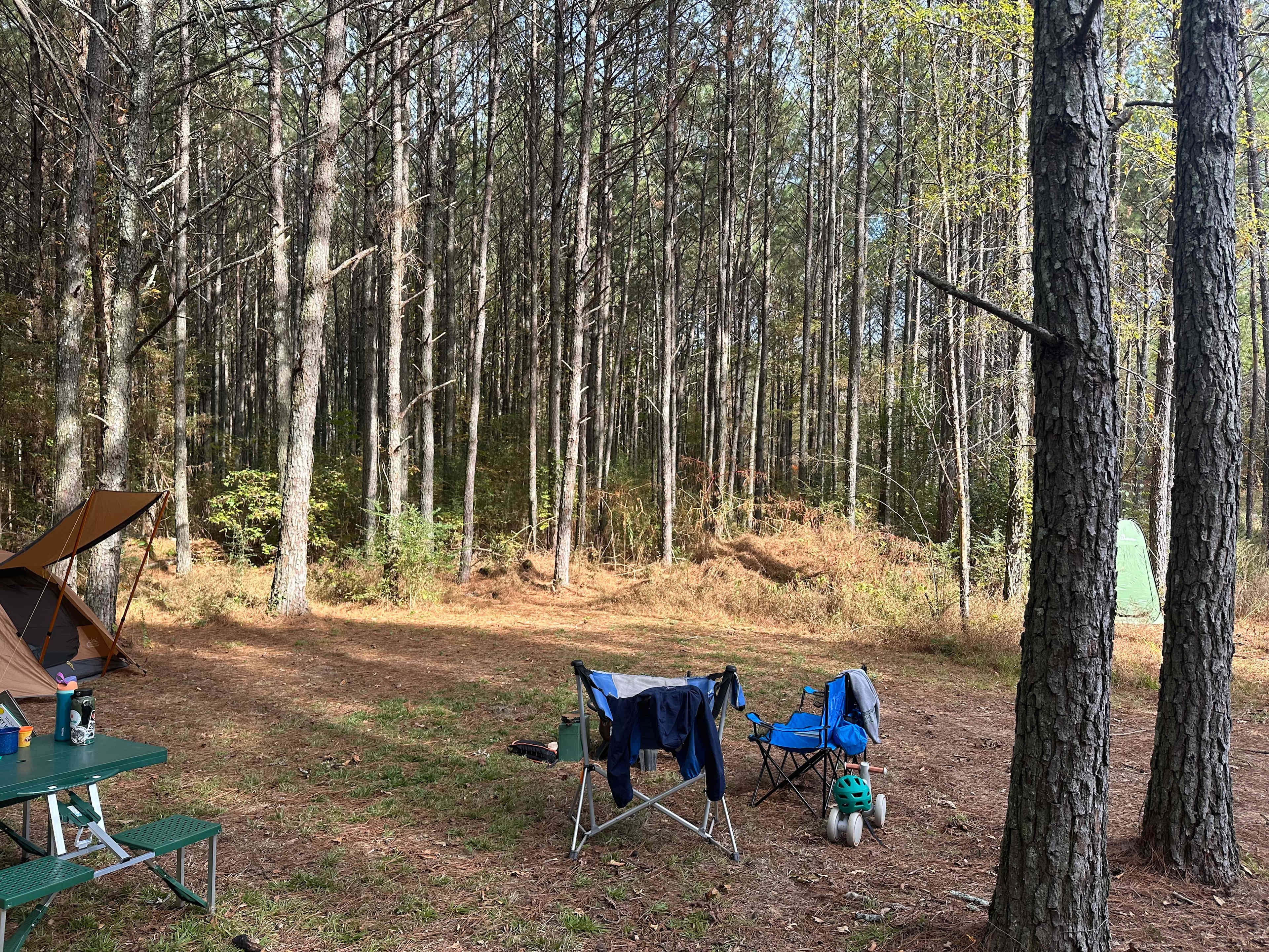 Camping in the woods in Ocoee