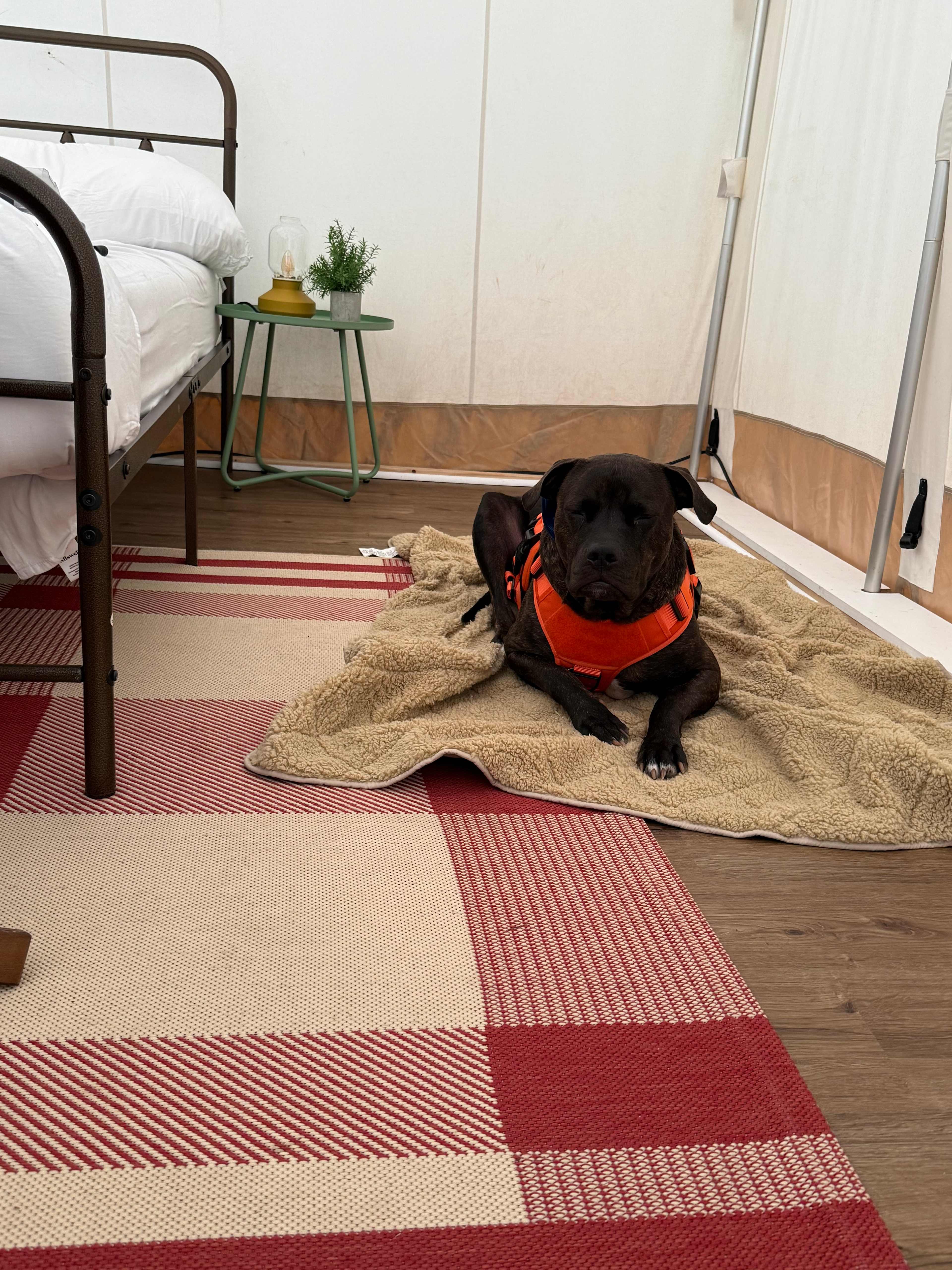 Gus enjoyed his get away! 