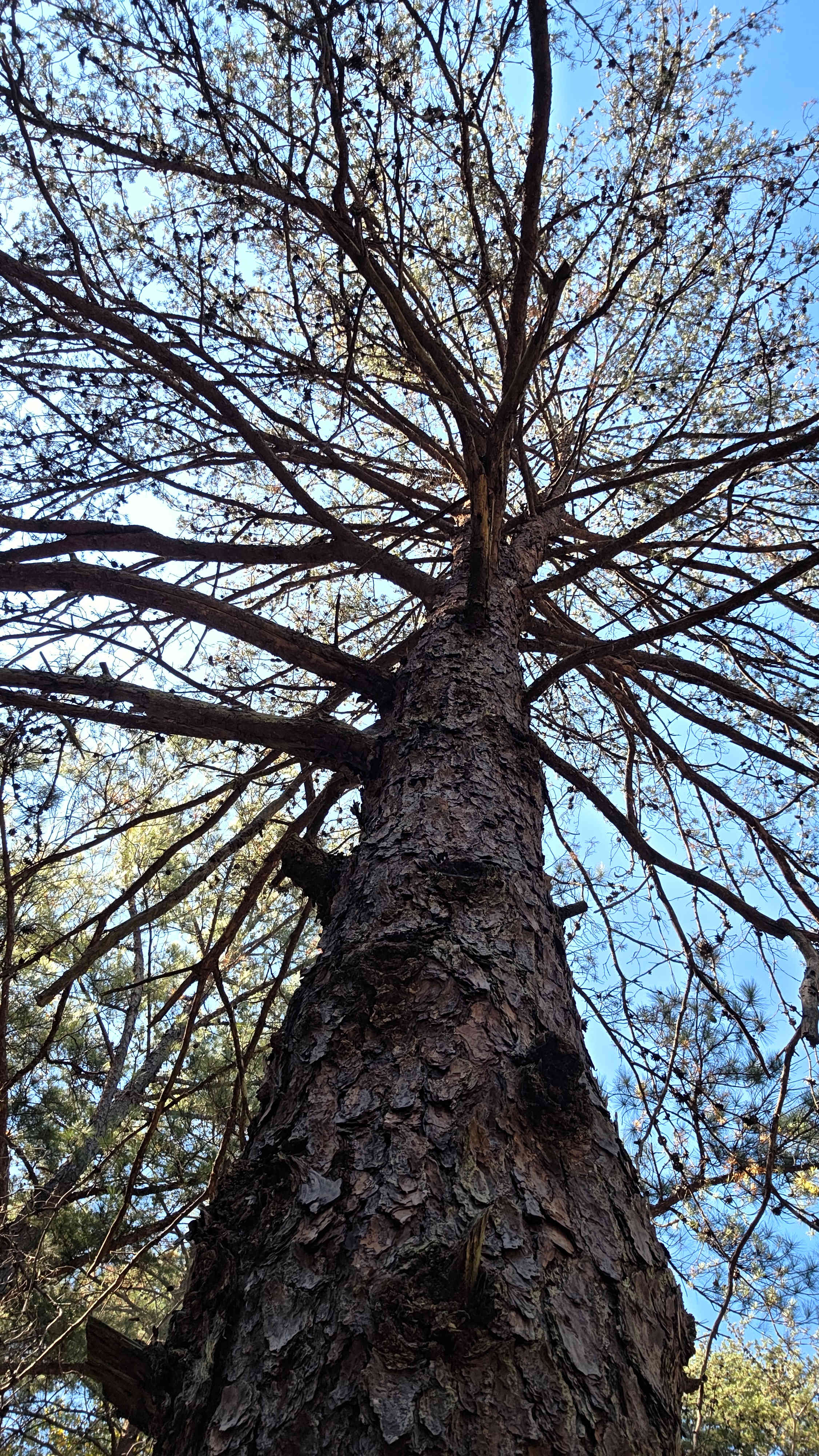 Cedar Grove Farm RV Site