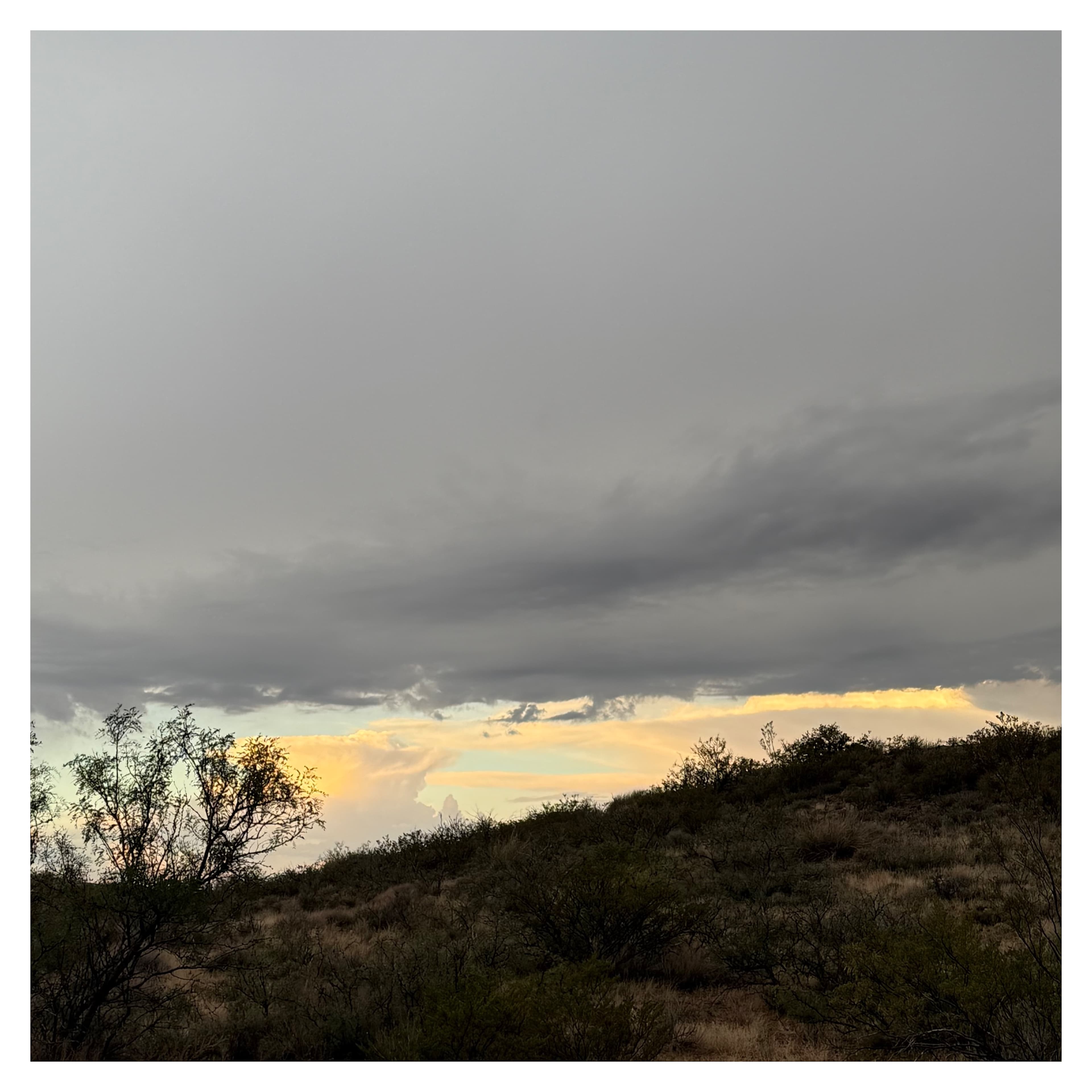 Organ Mountain Views