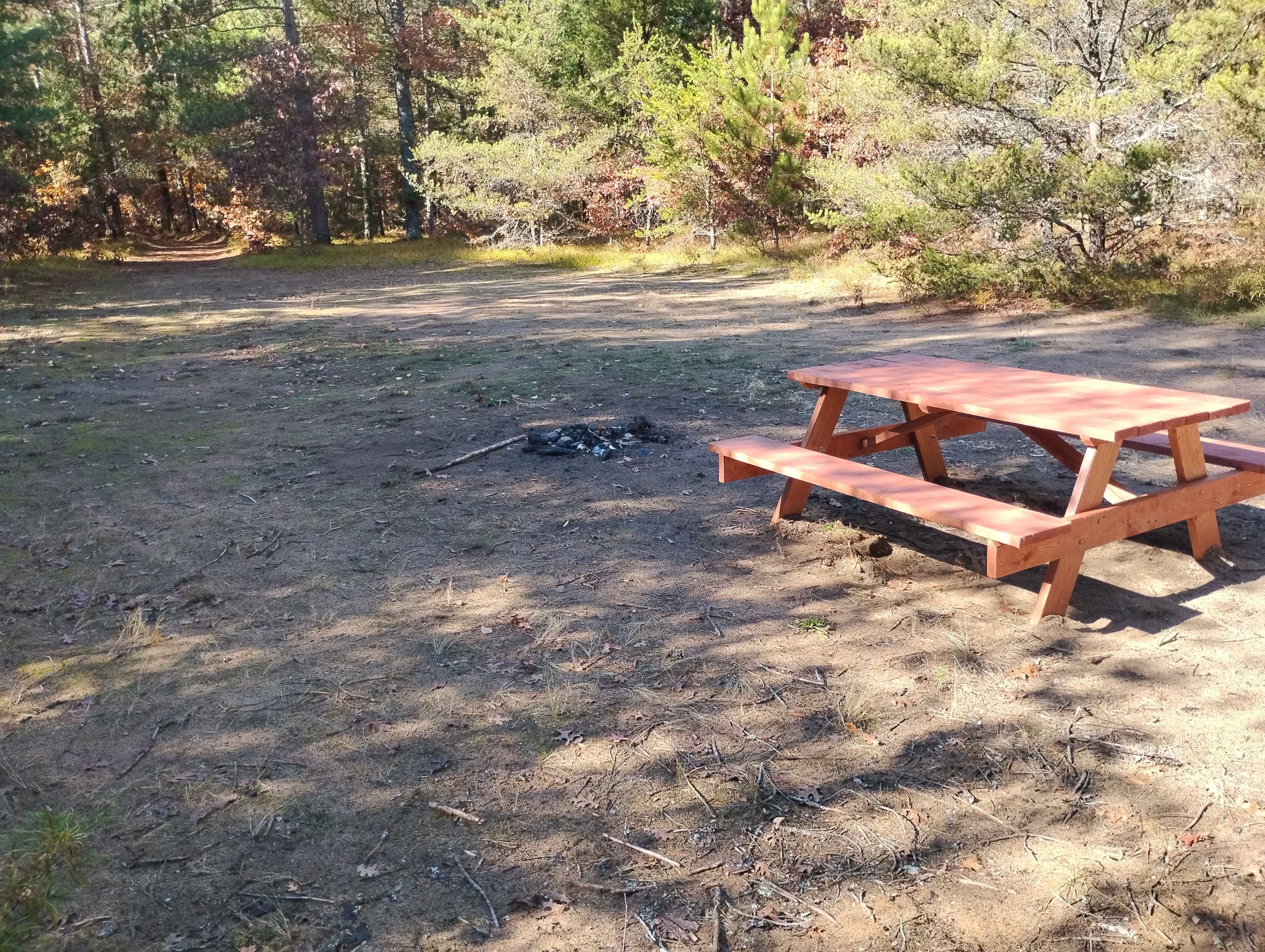Secluded Woodsy Camp by the River