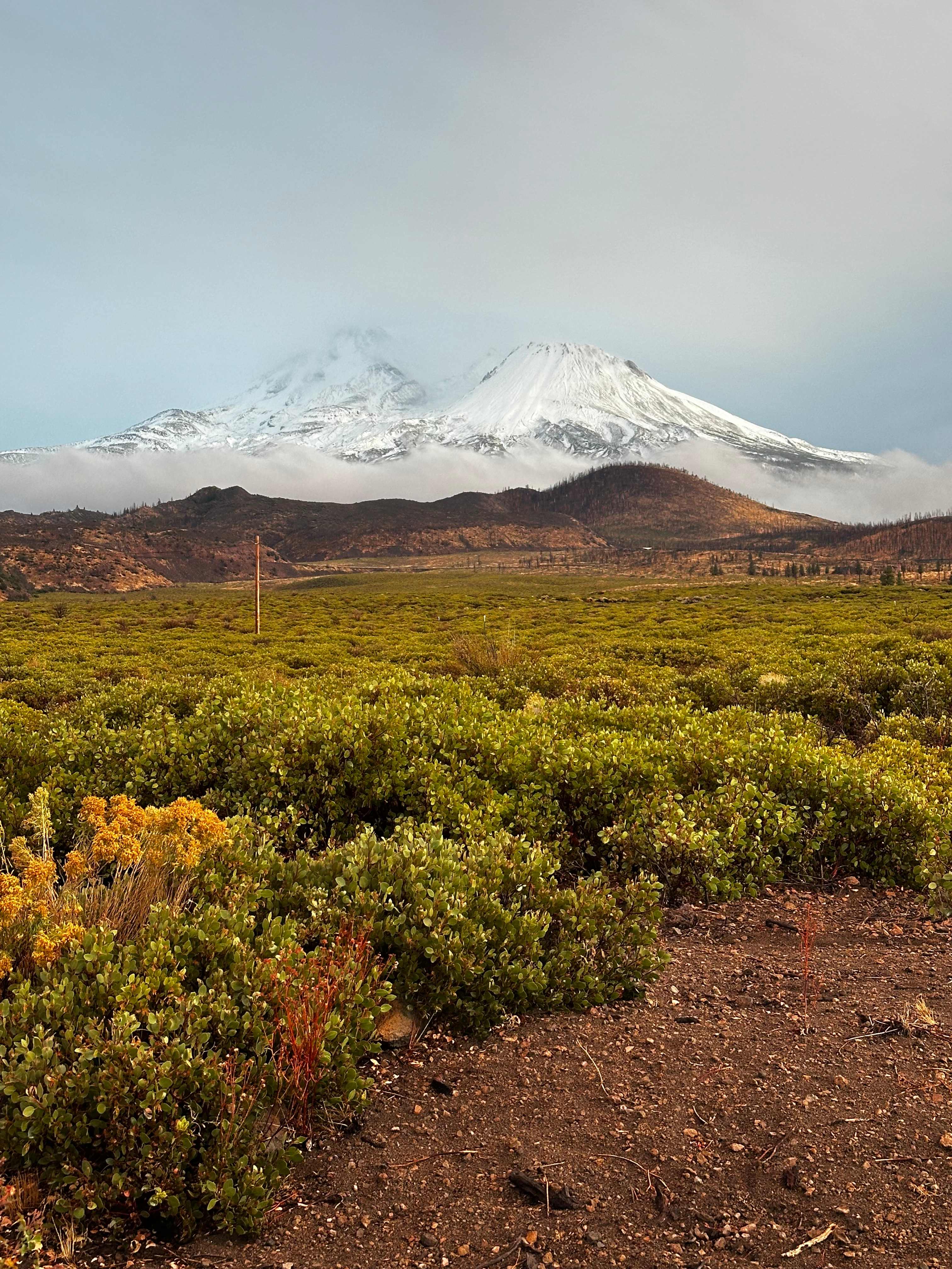 Amazing morning view