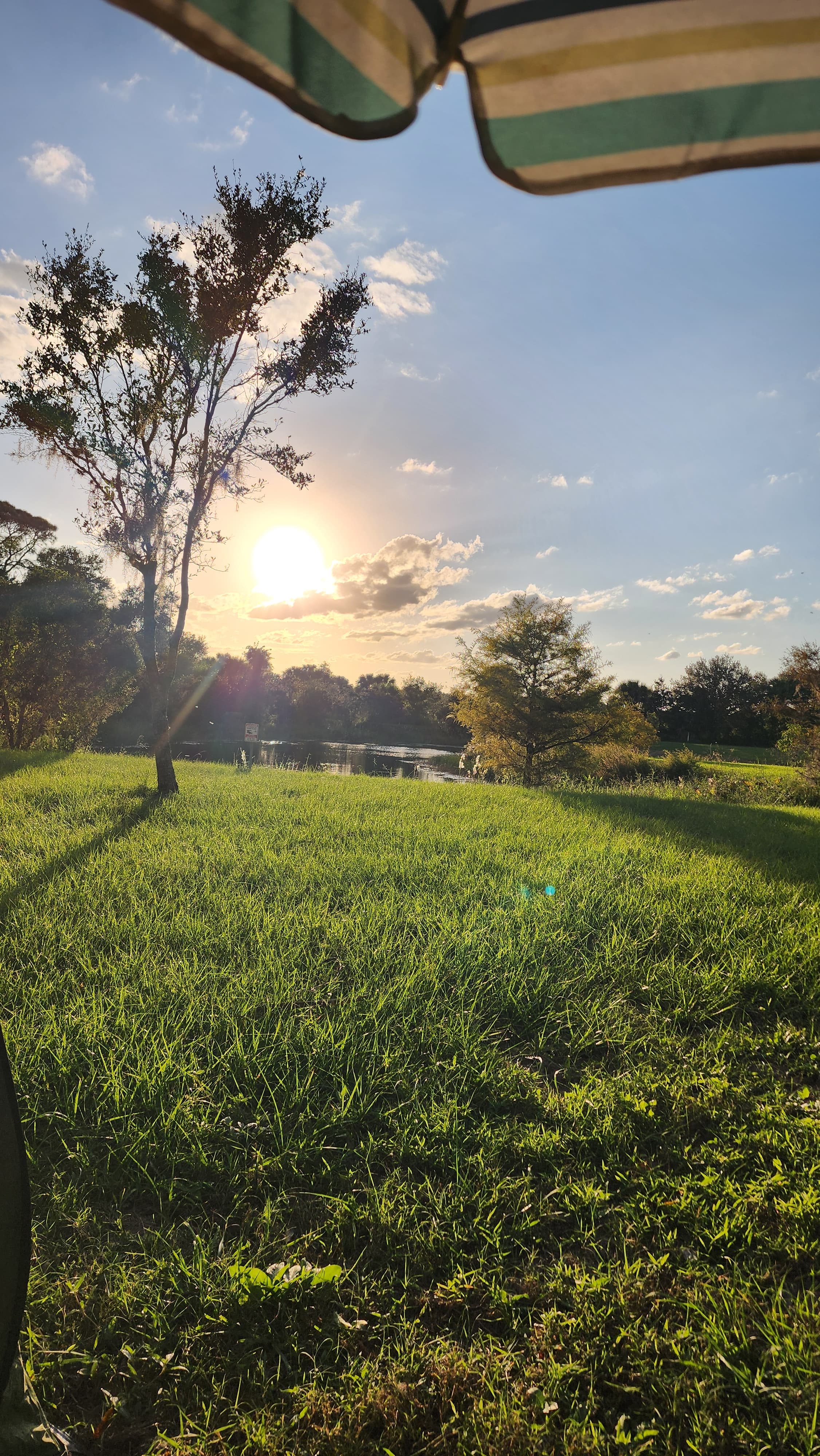 Taste of Old Florida