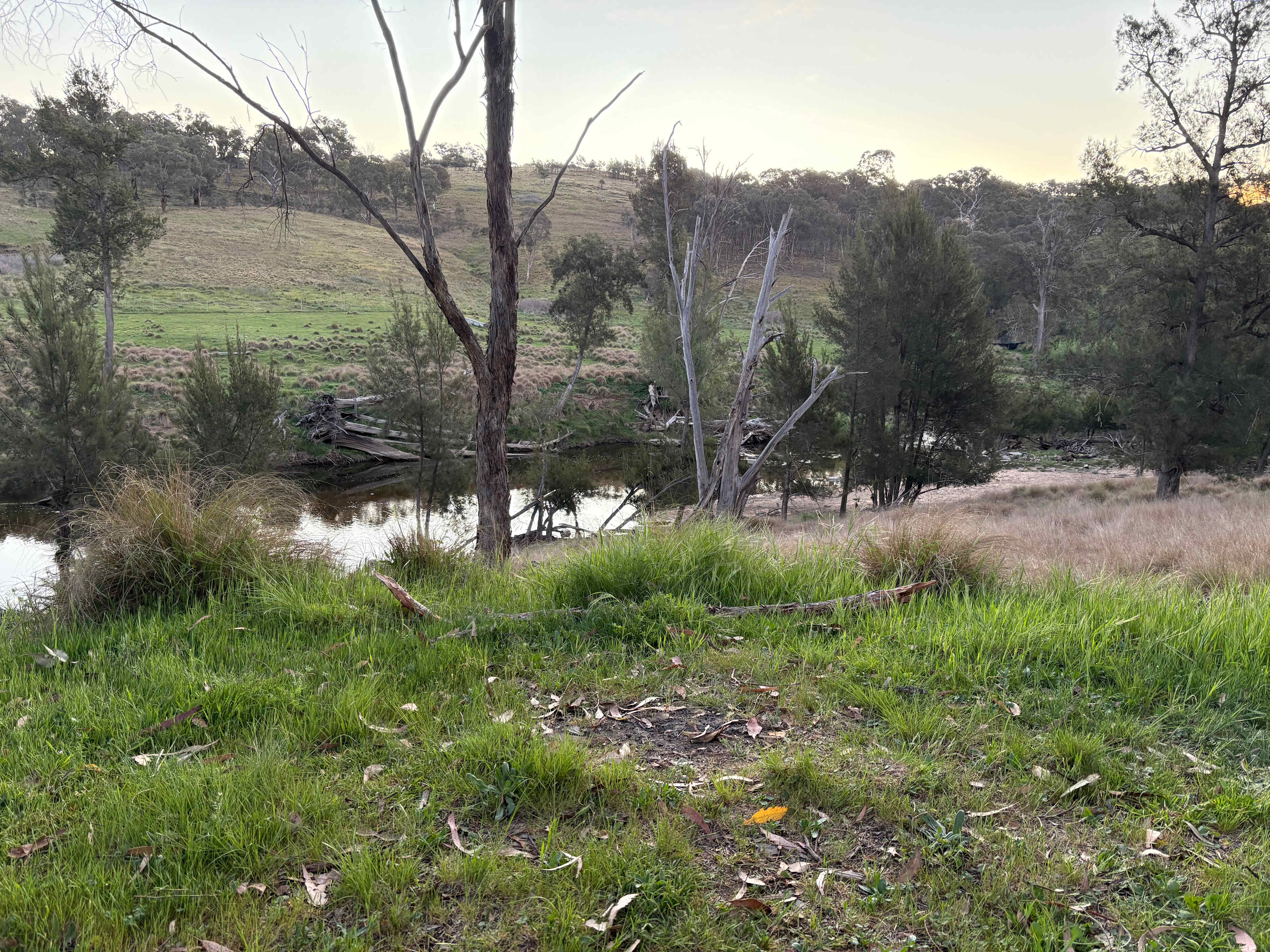Rockytop Family Bush Retreat