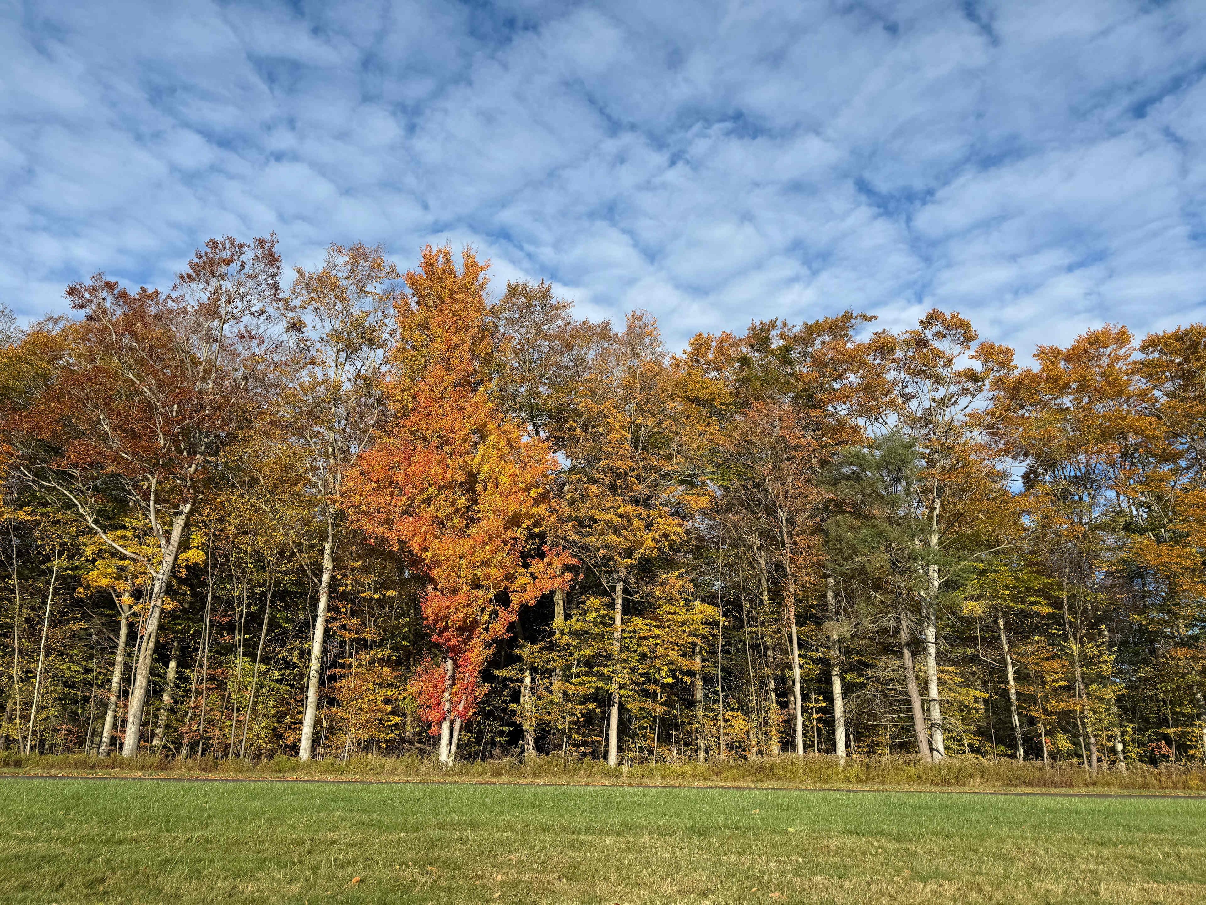 Mile High Campground