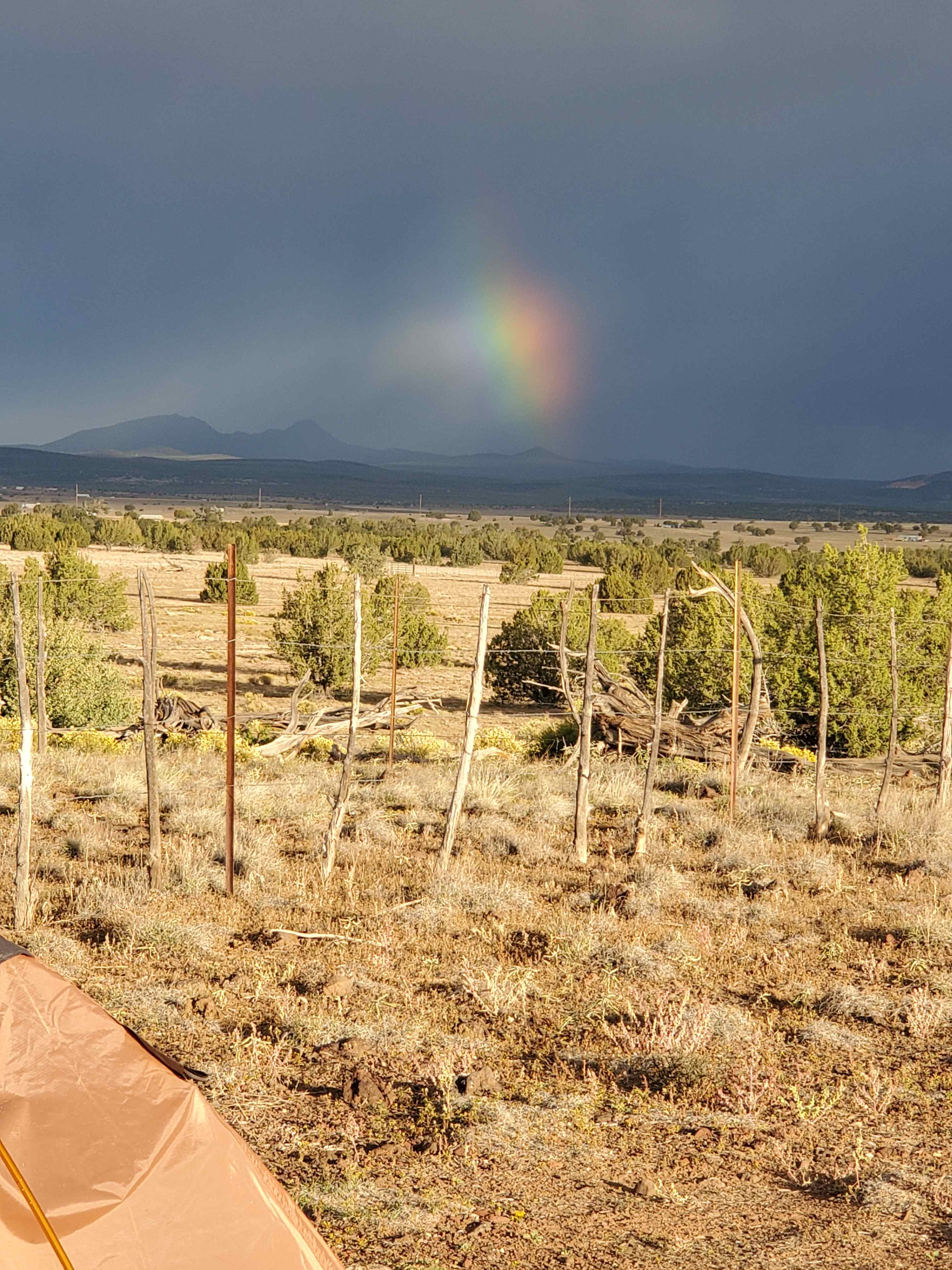 A Spark in the Dark Campground