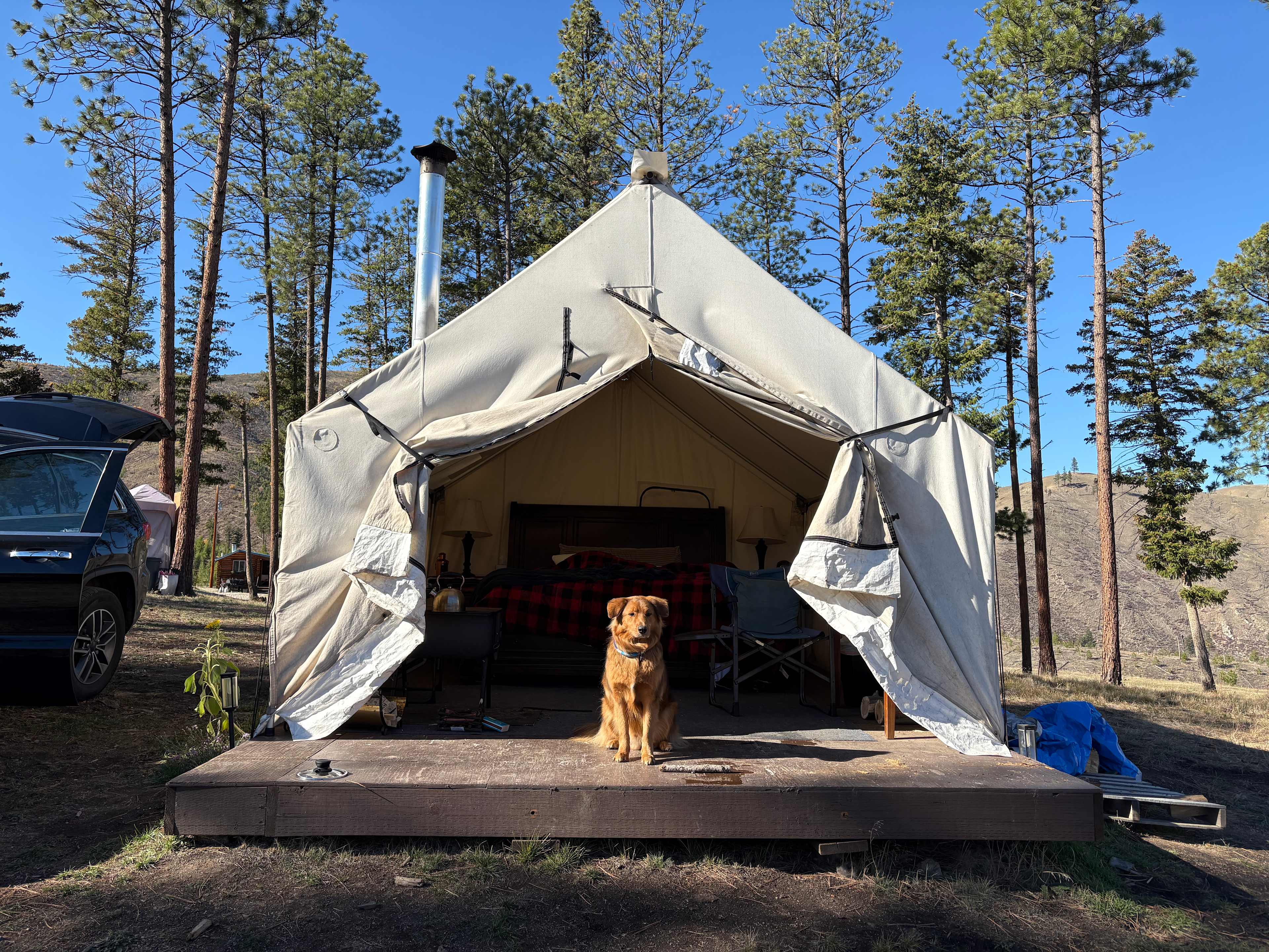 Oxen-Le-Fields Montana