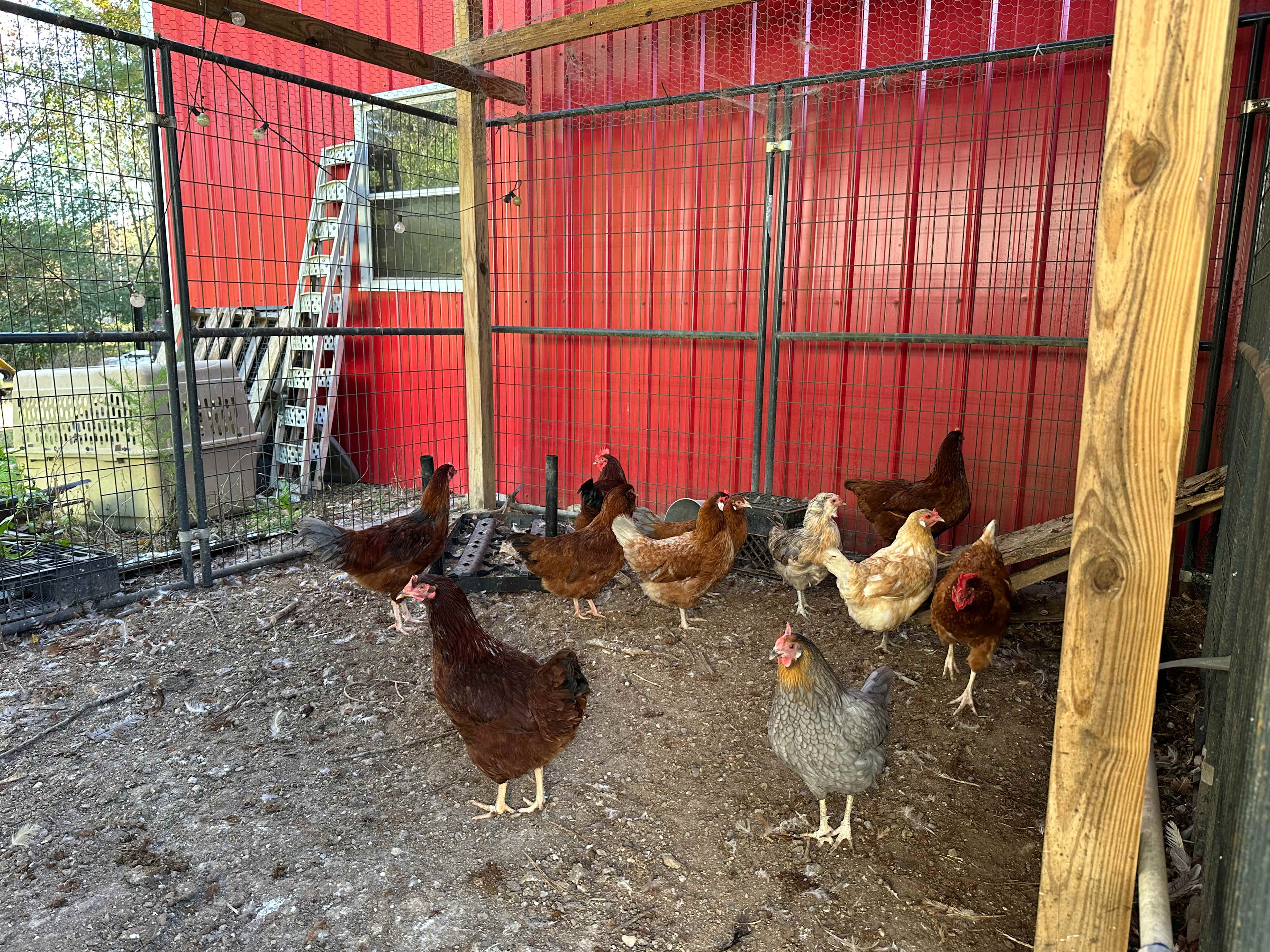 Magnolia Campground at Hixson Farms