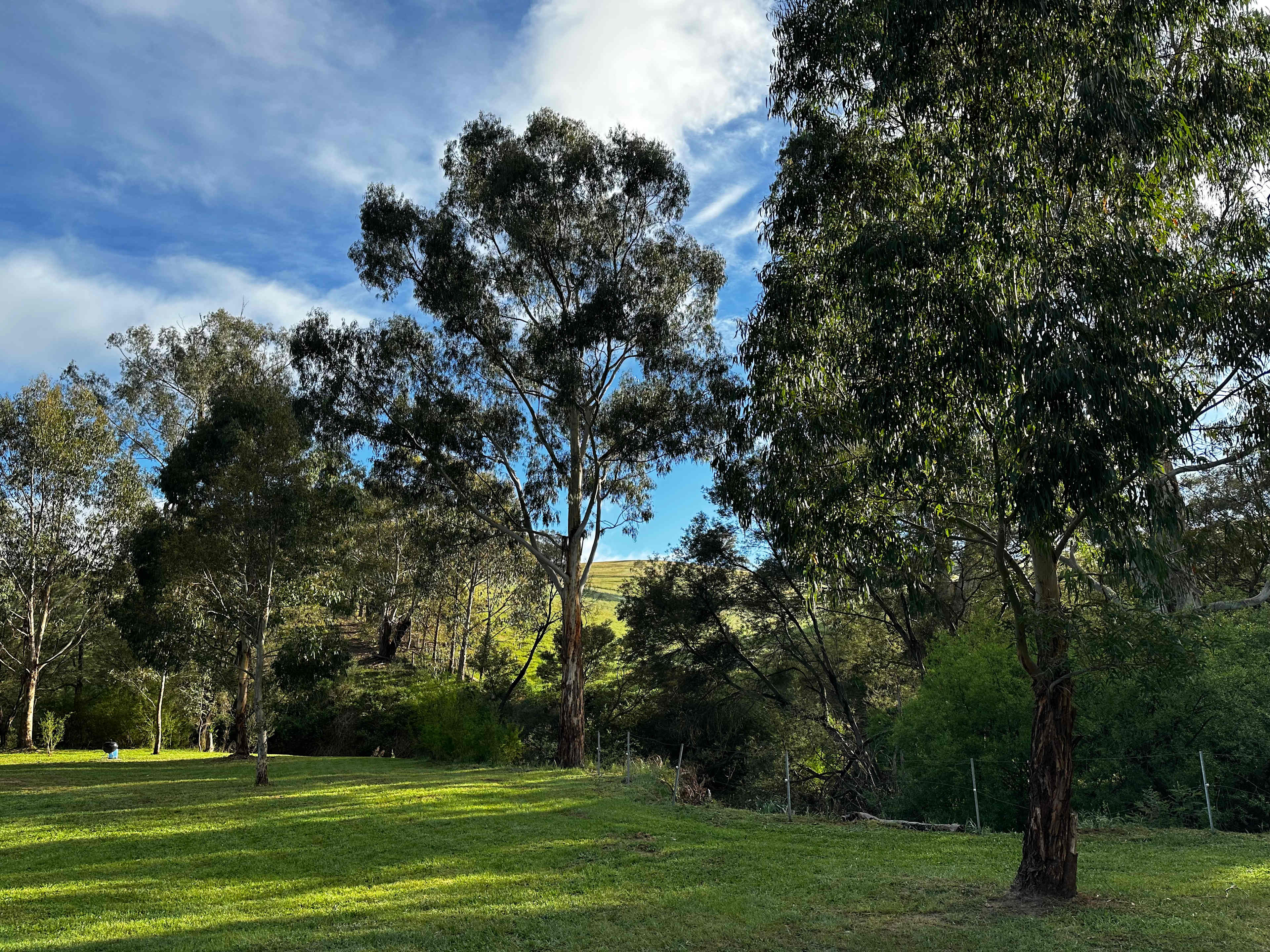 Strath Creek Station