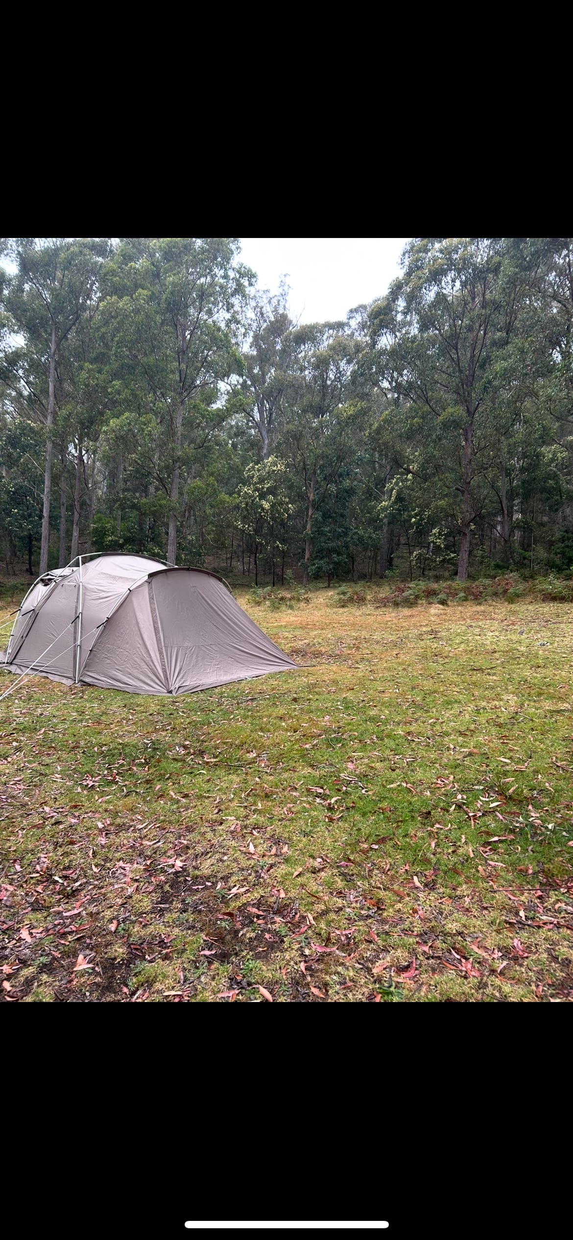 Campsite view with our tent 