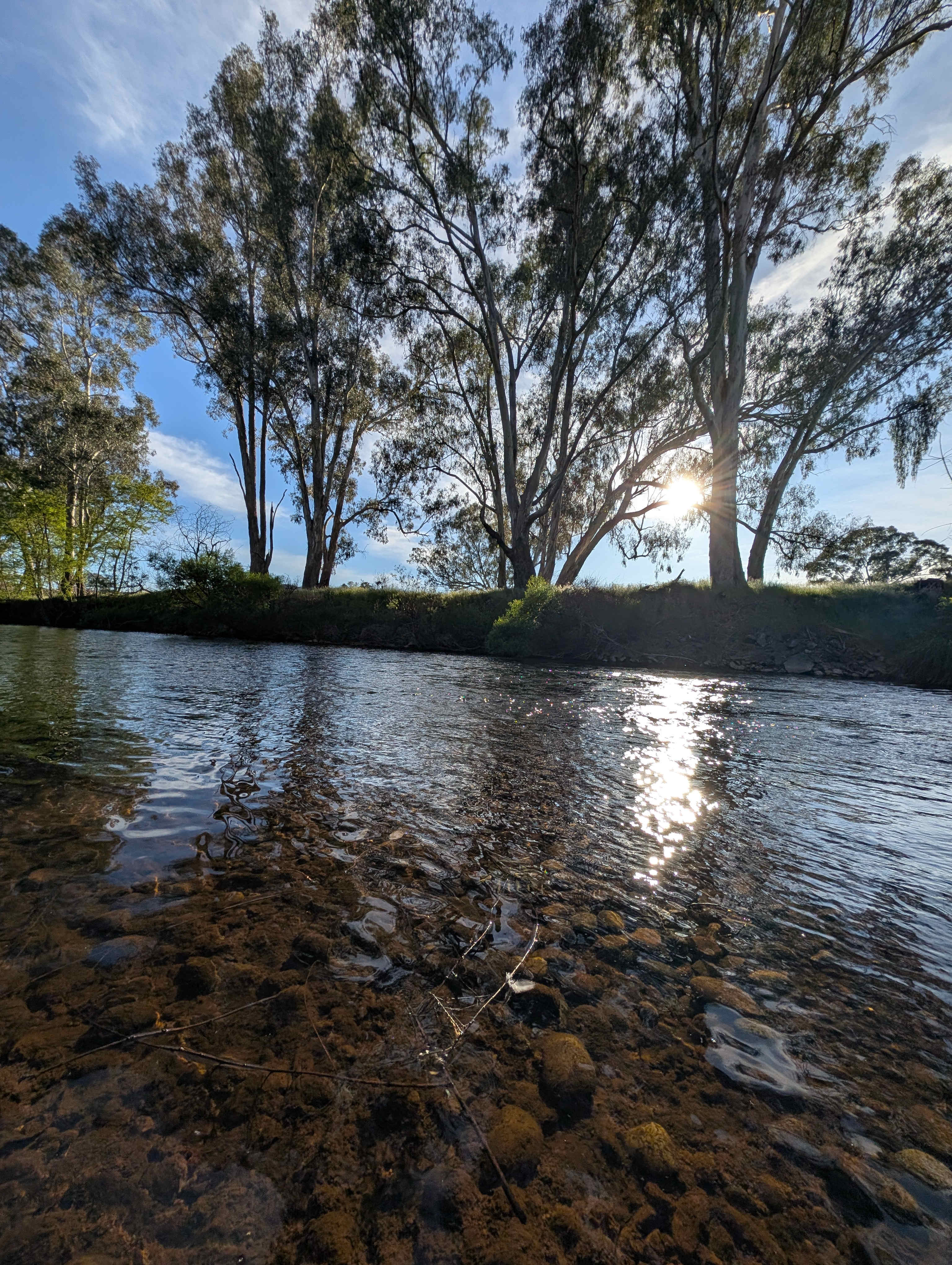 Riverside King Valley