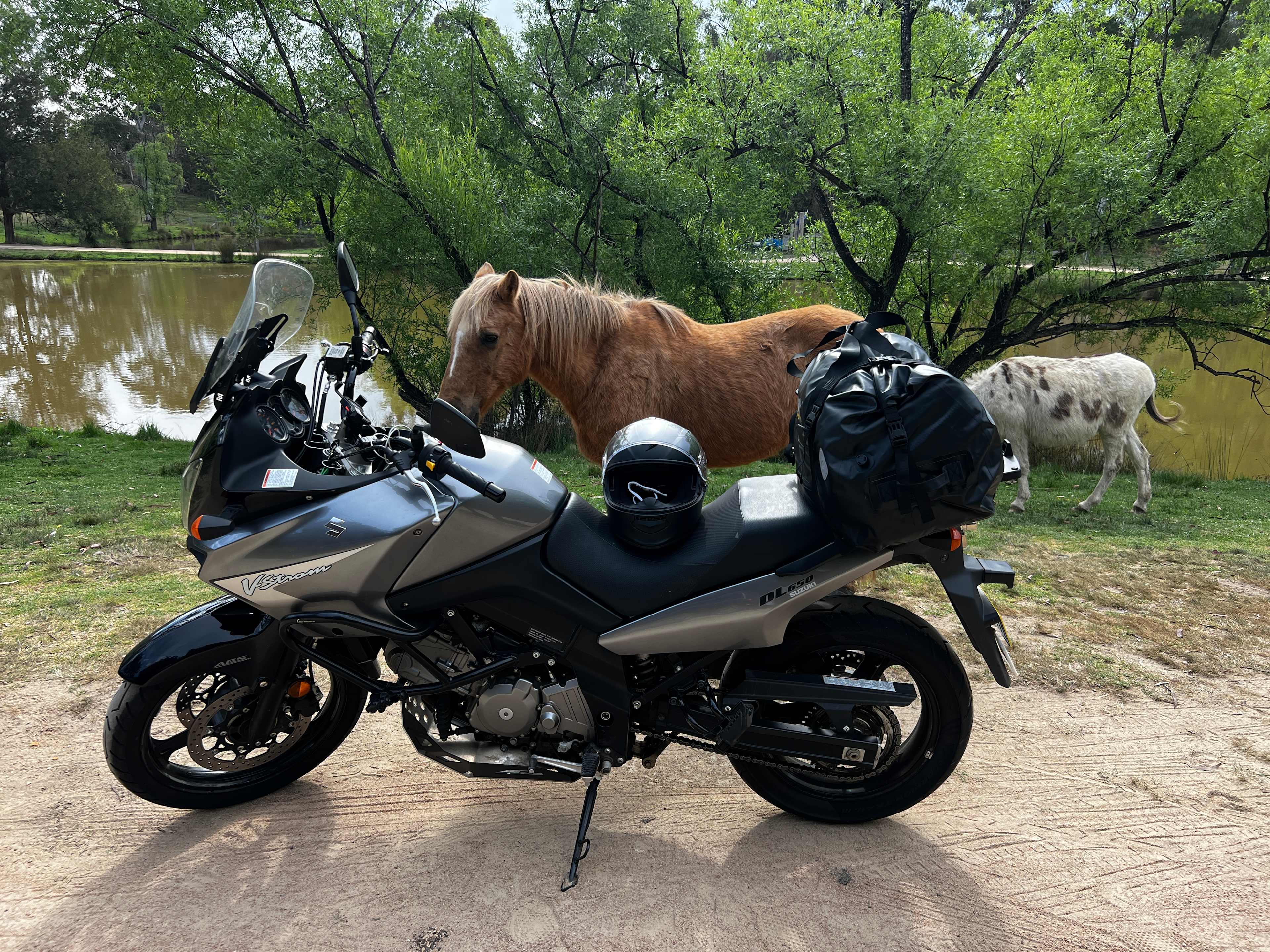 Megalong Valley Farm