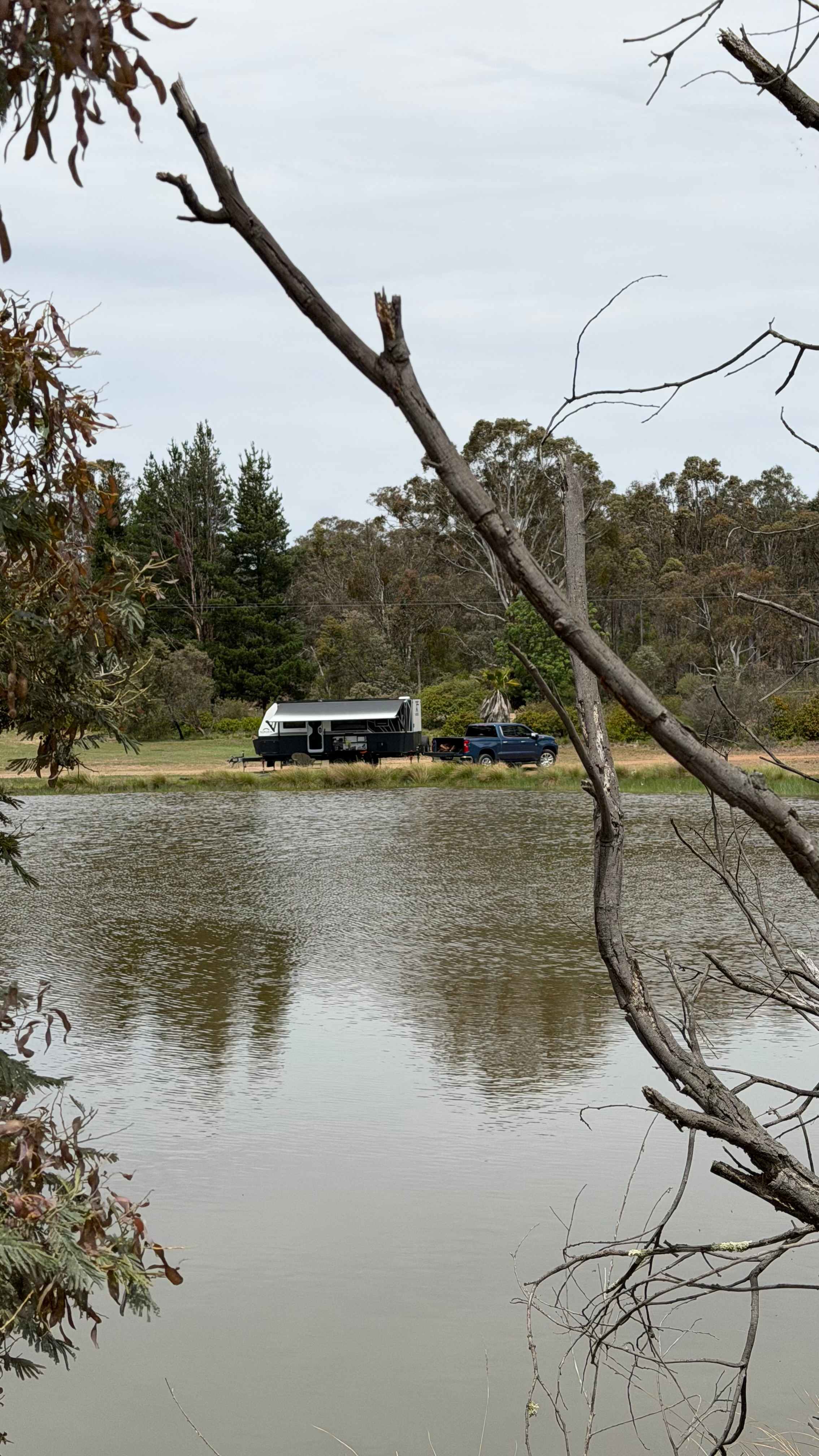 Ahhh the serenity. No volume control for the frogs. 