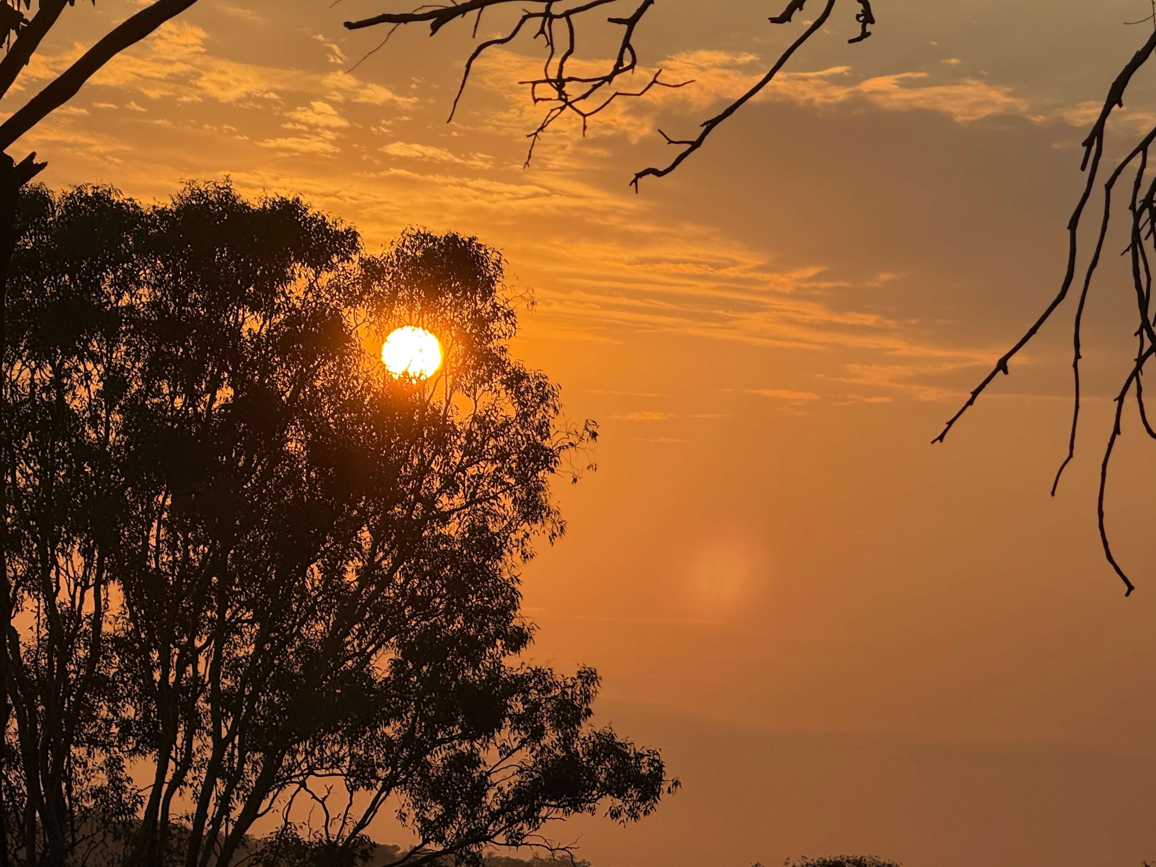 Bunya Mountains View