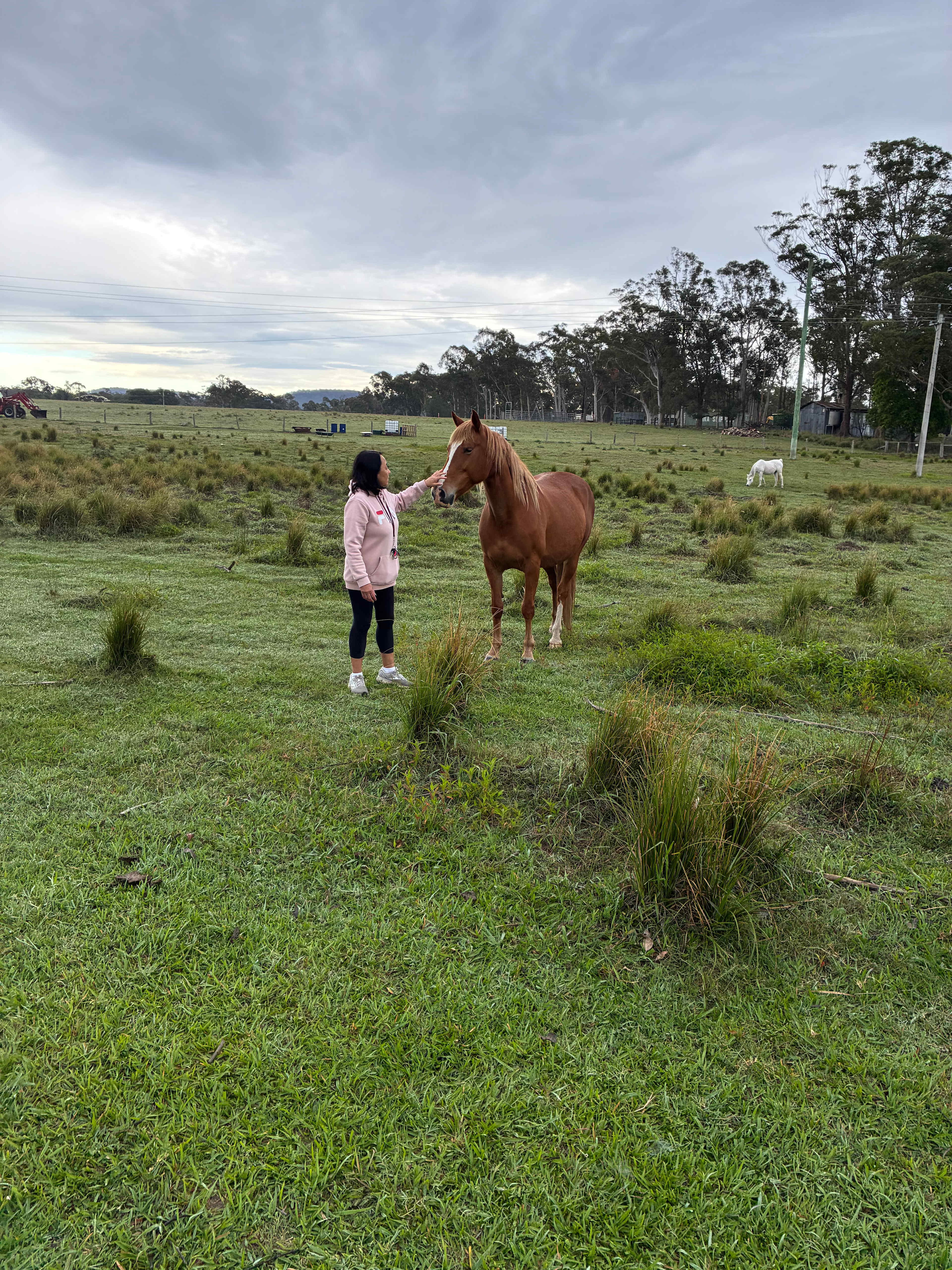 Fat Lamb Farm Camping