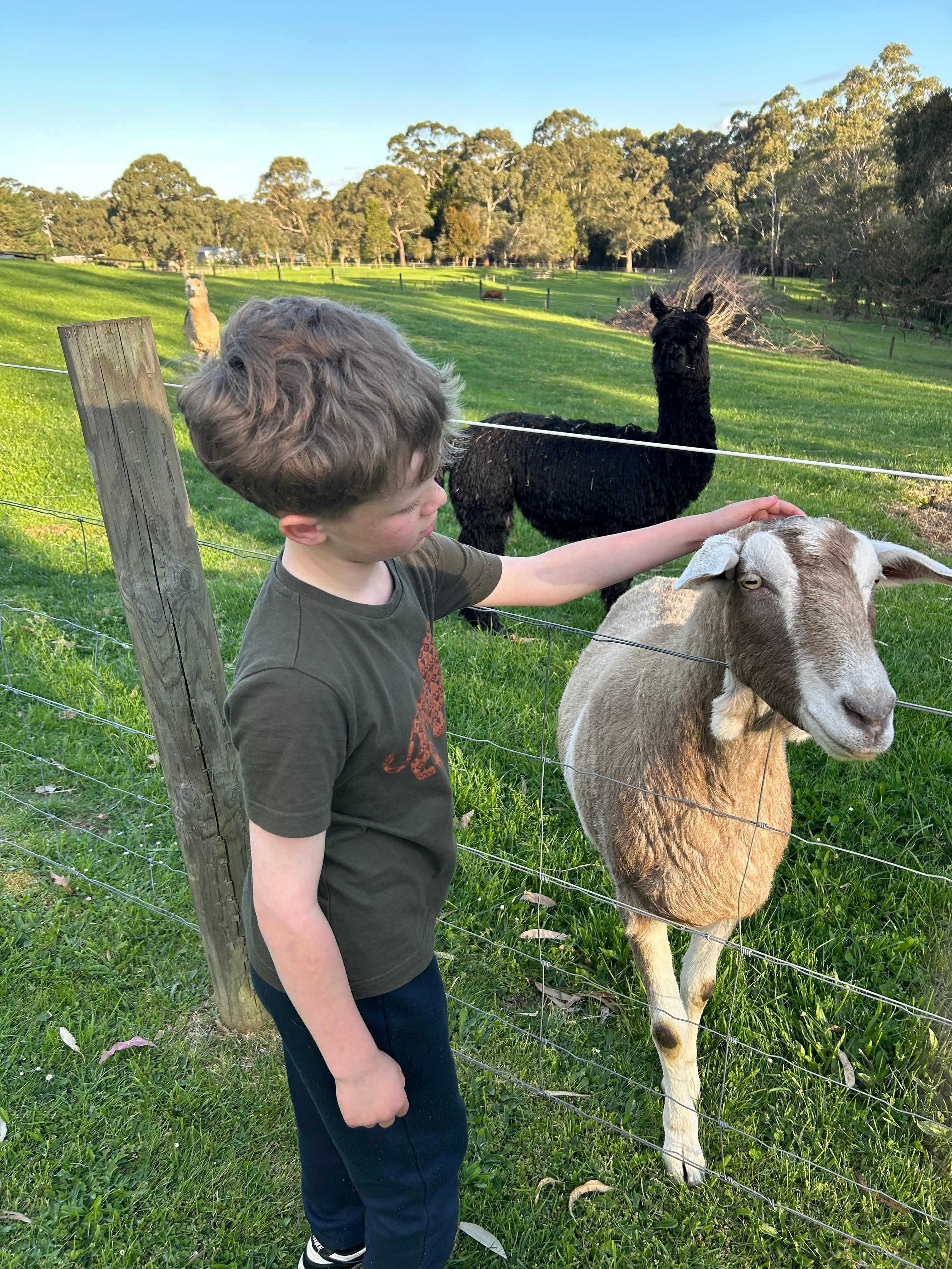 Millers Farm "The Hills are alive"