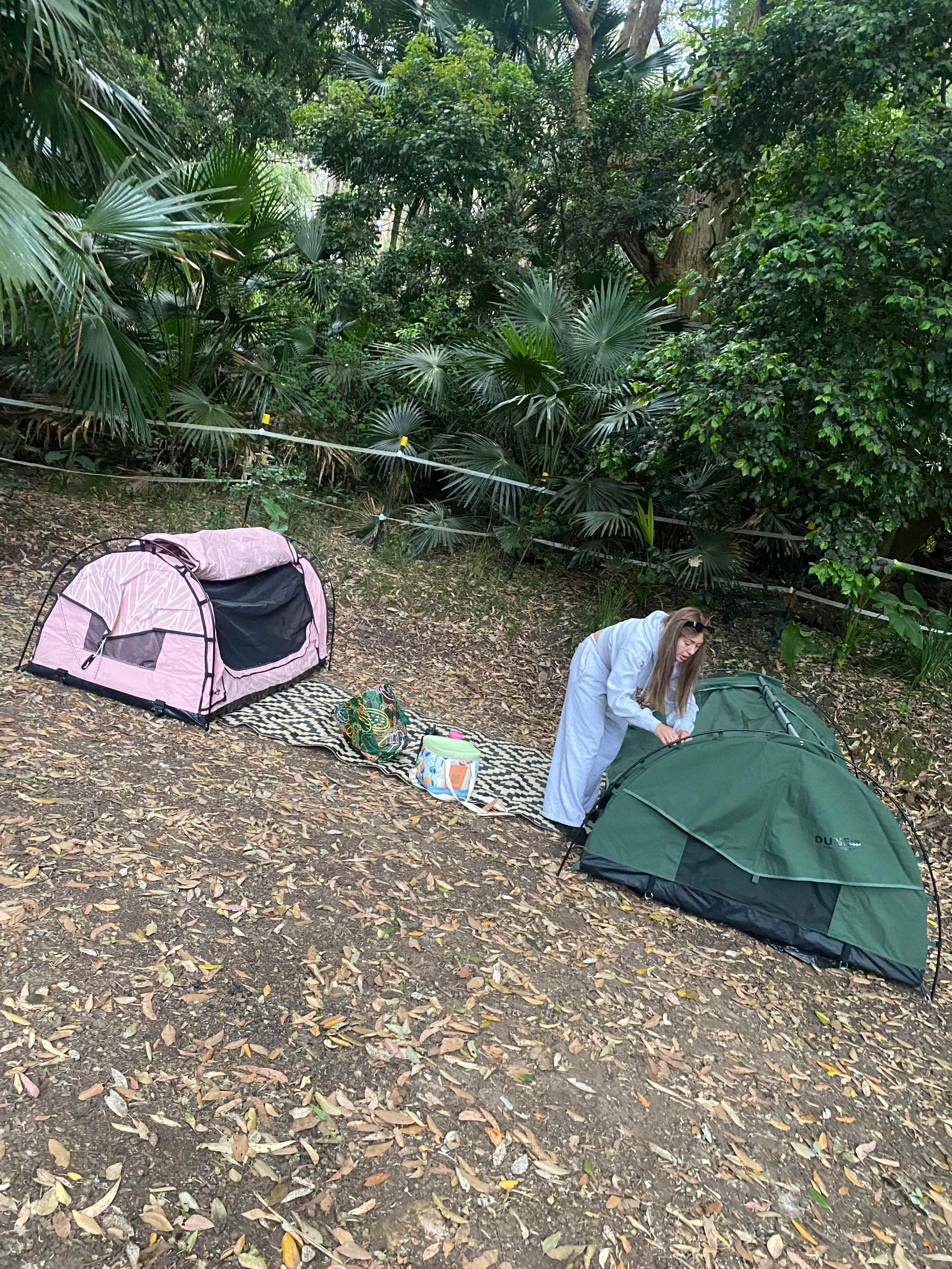Otford Park nr Royal National Park