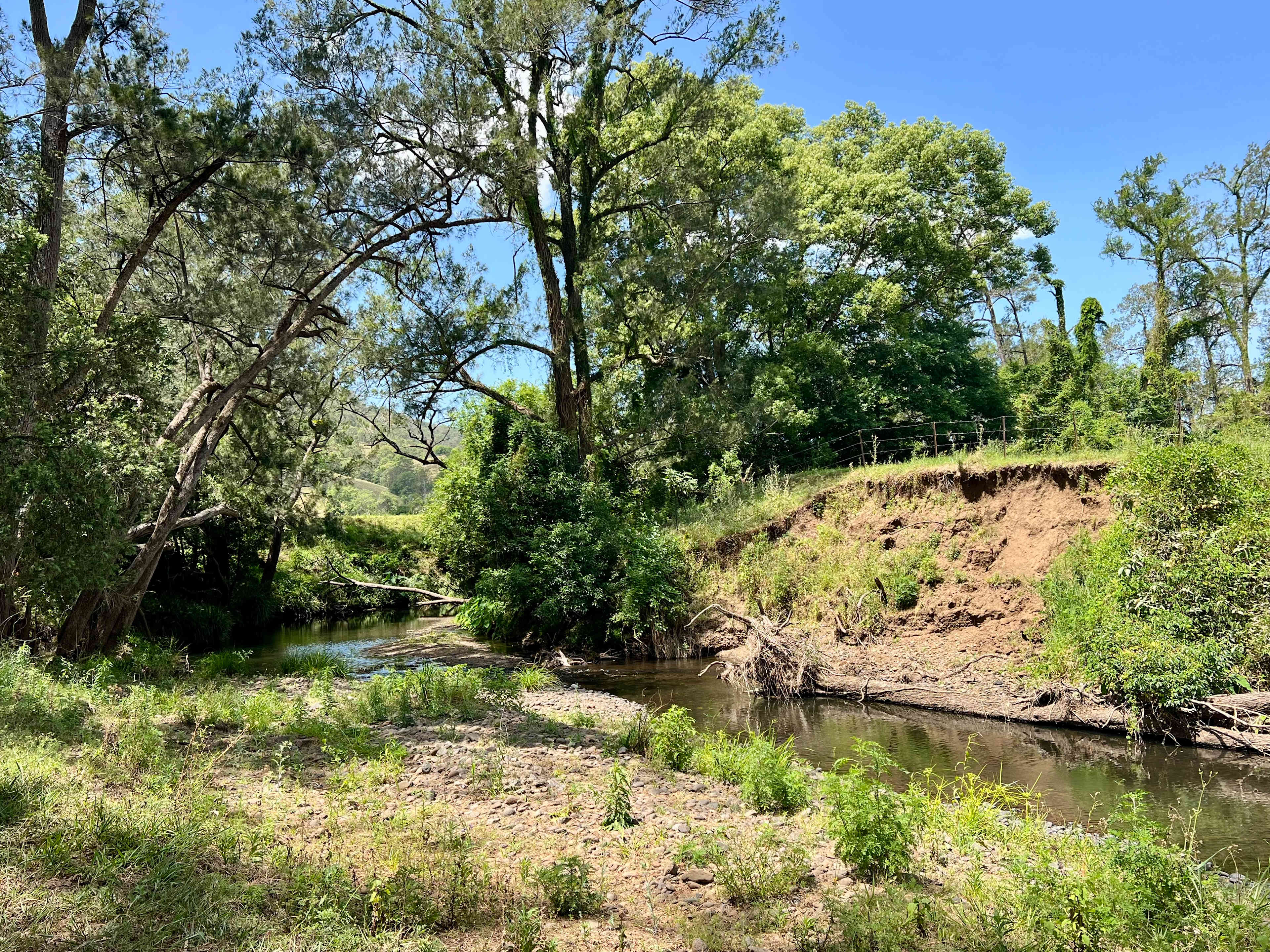 Border Ranges Pastoral