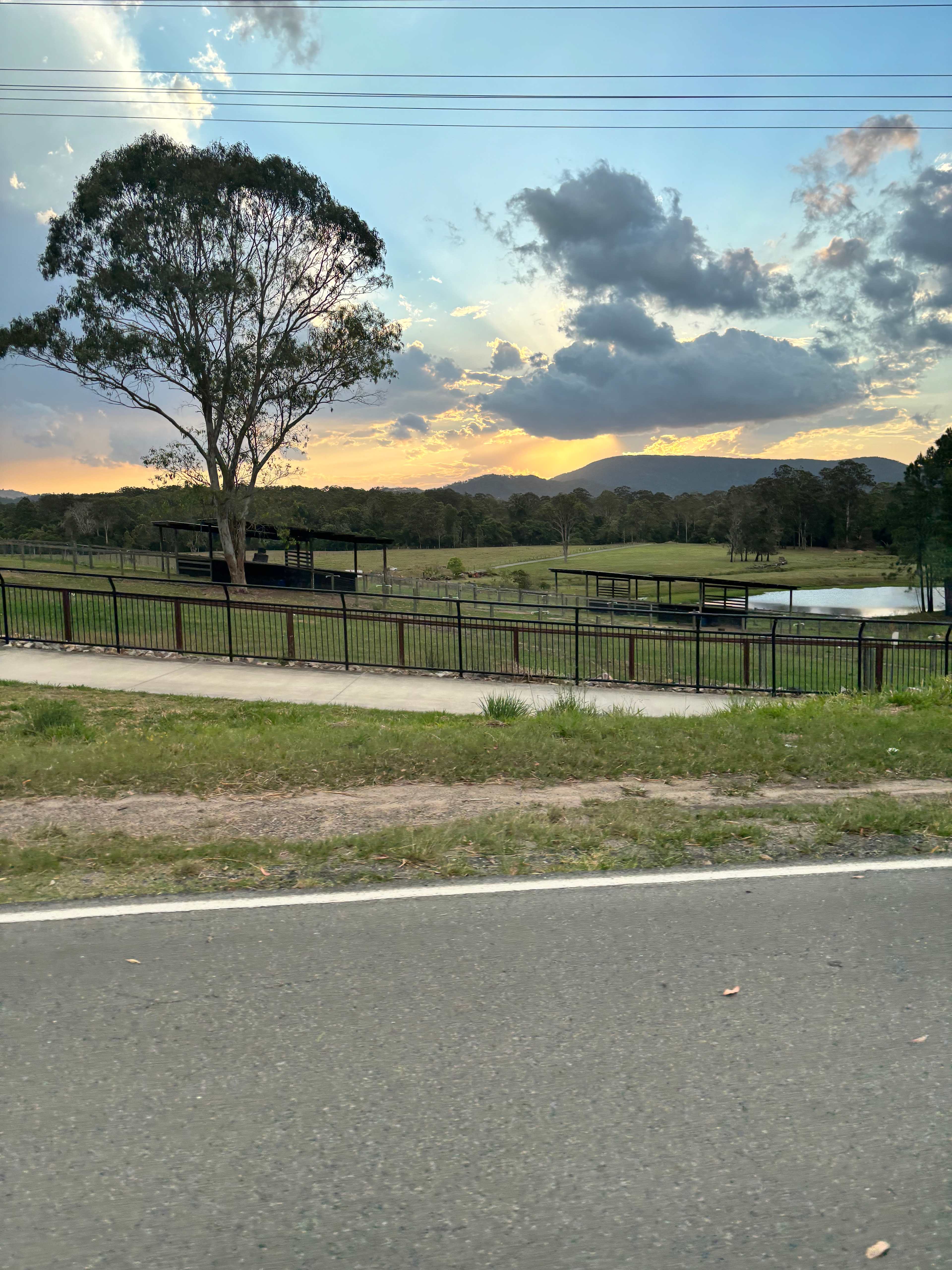 Bushywood at Woodfordskilake