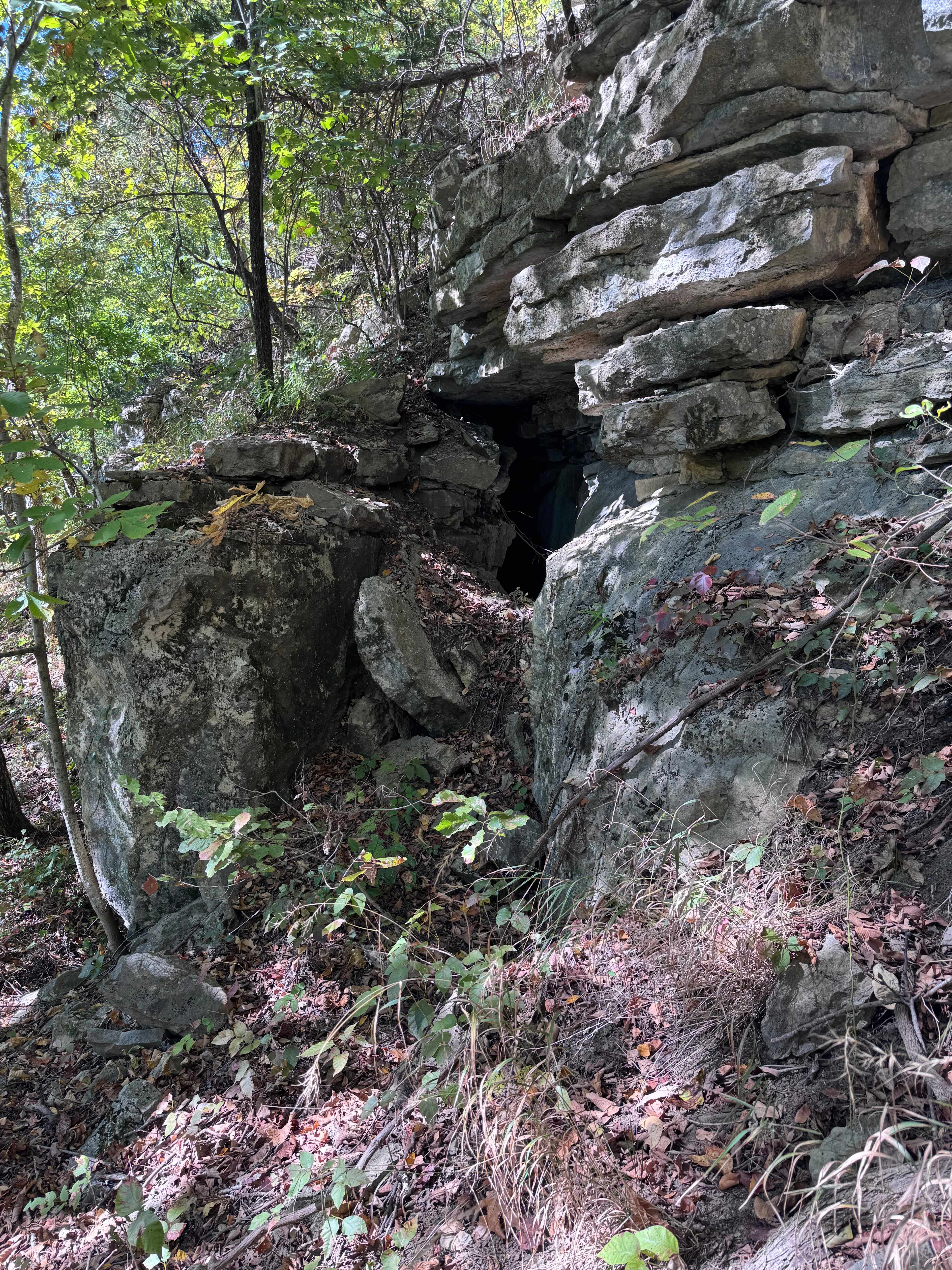 Enchanted Ozark Fairytale Camp