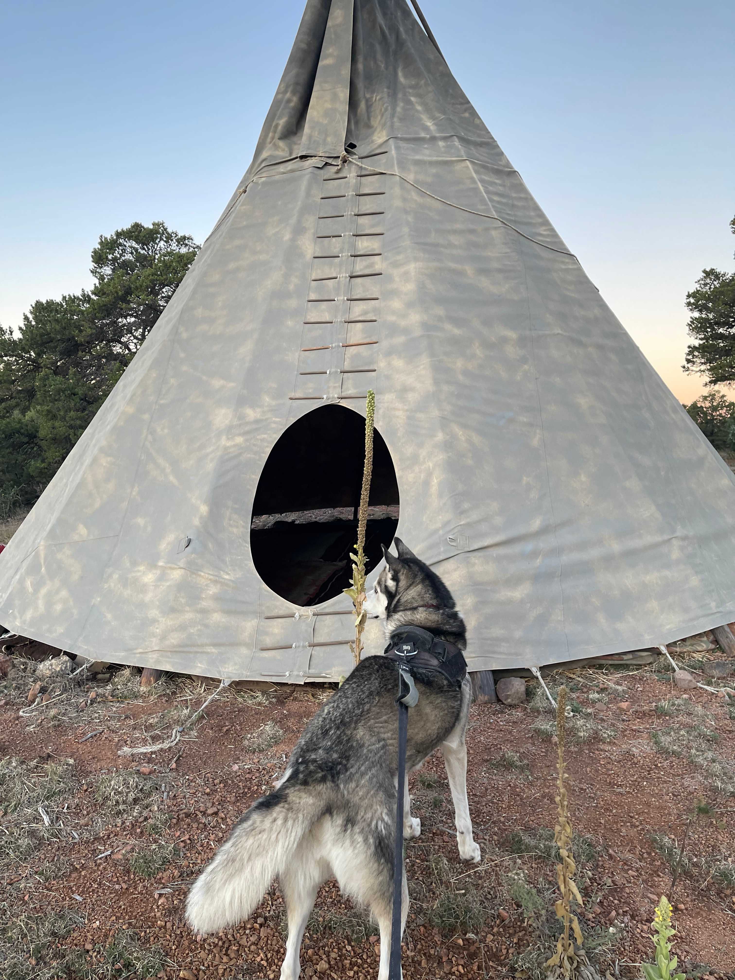 Santa Fe Treehouse Camp & Wilderness Preserve