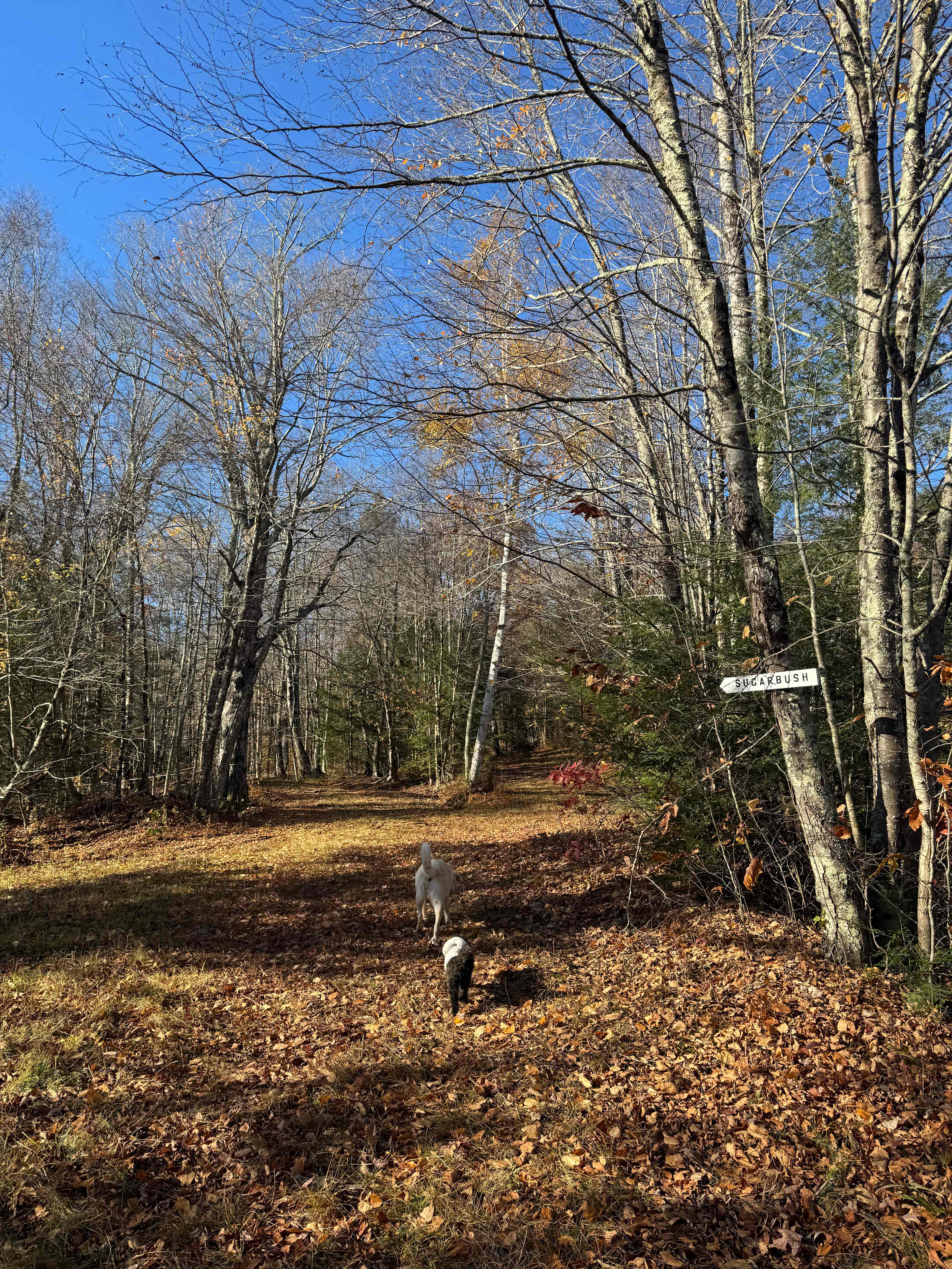 Trails on the property