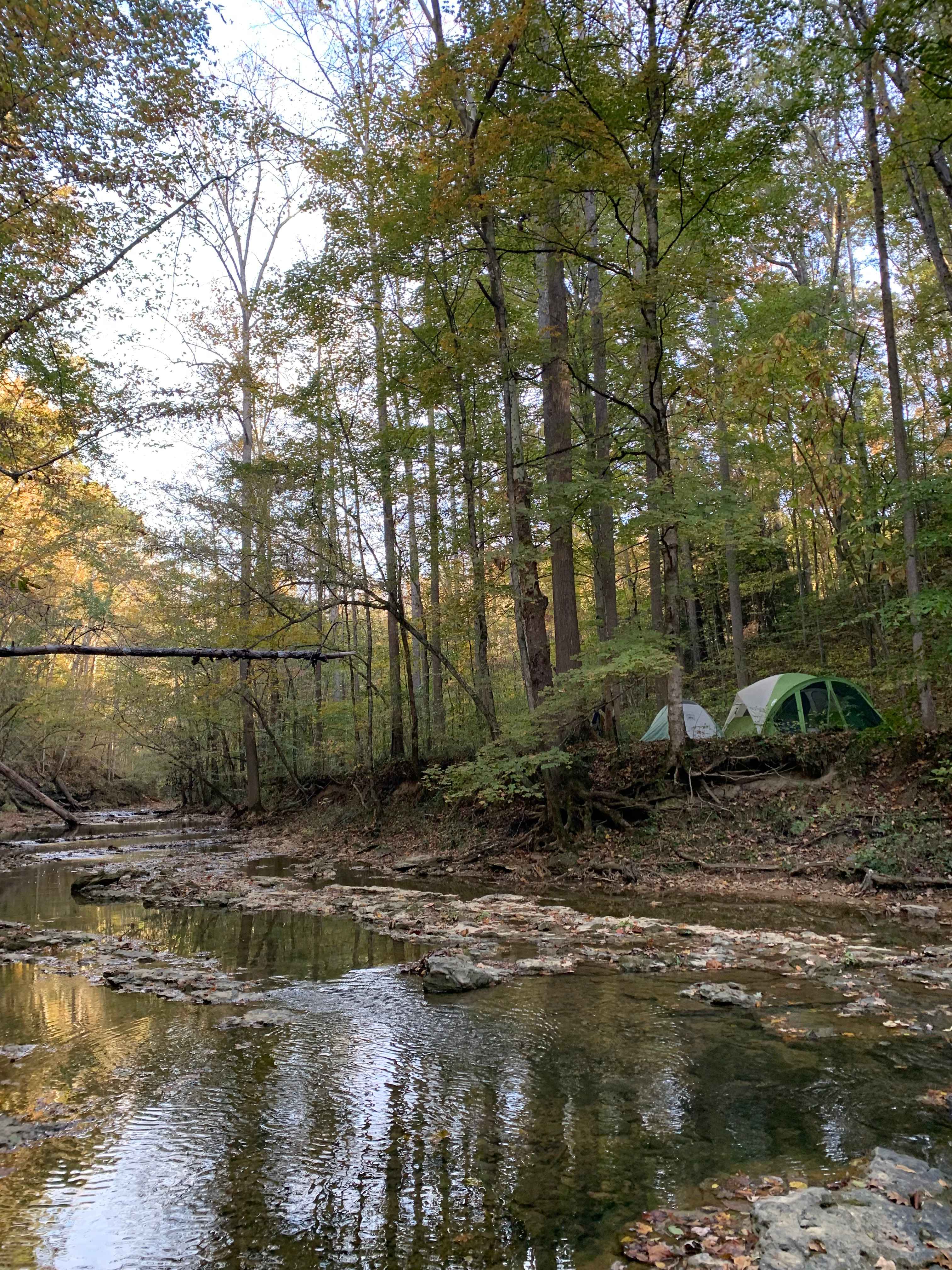 Belle and Beau Acres
