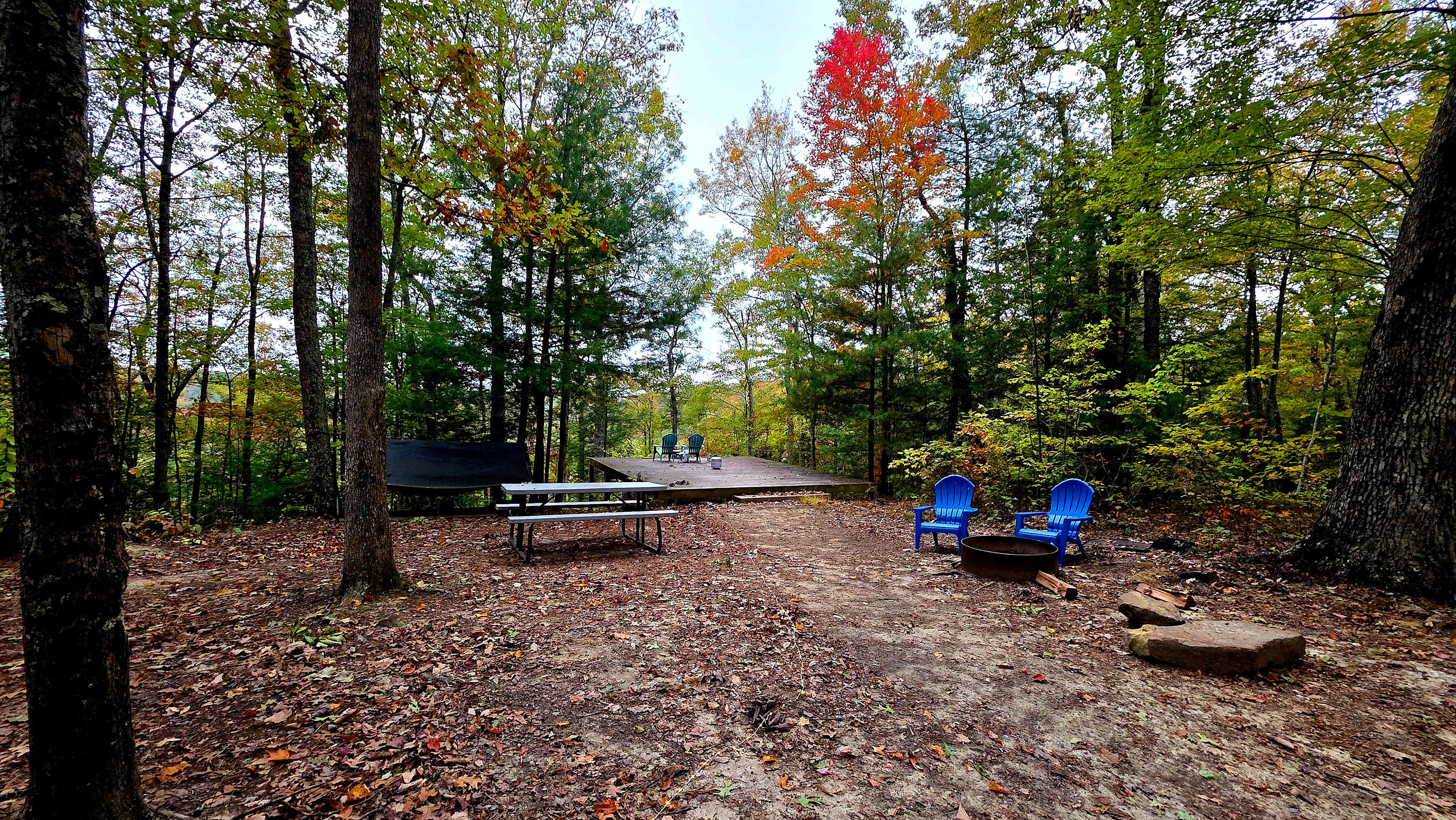 The LAAAAND (just you & 50 acres)