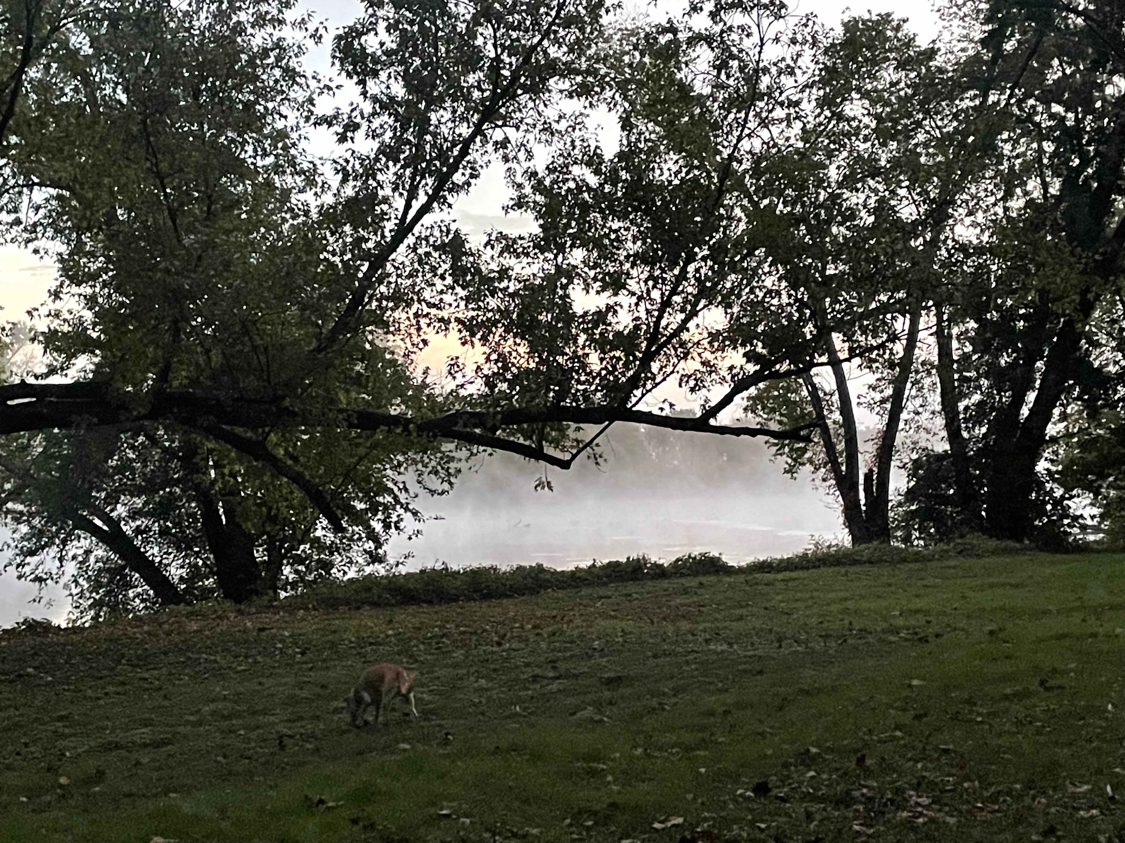Warren Ferry Landing