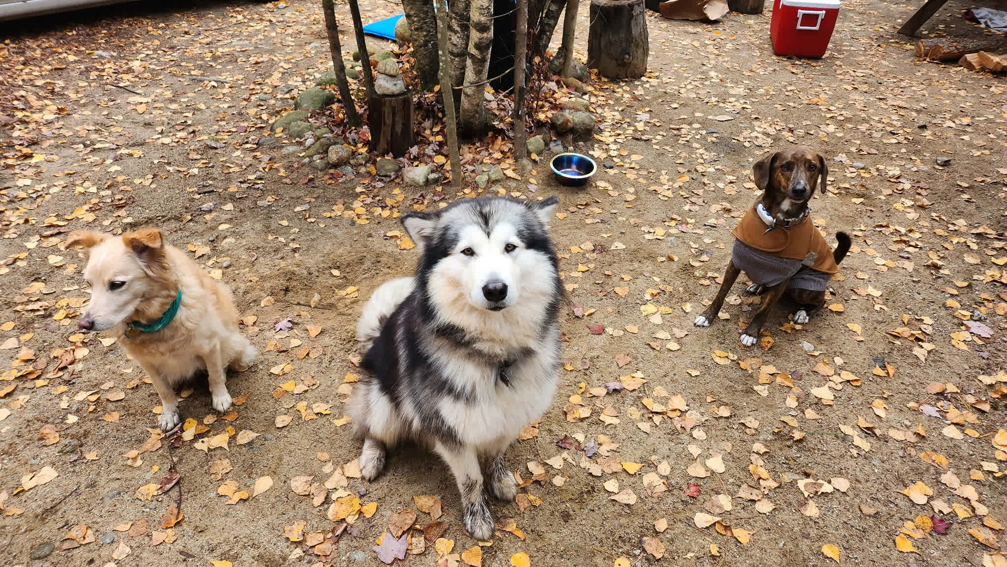 Sacred Nectar Sanctuary