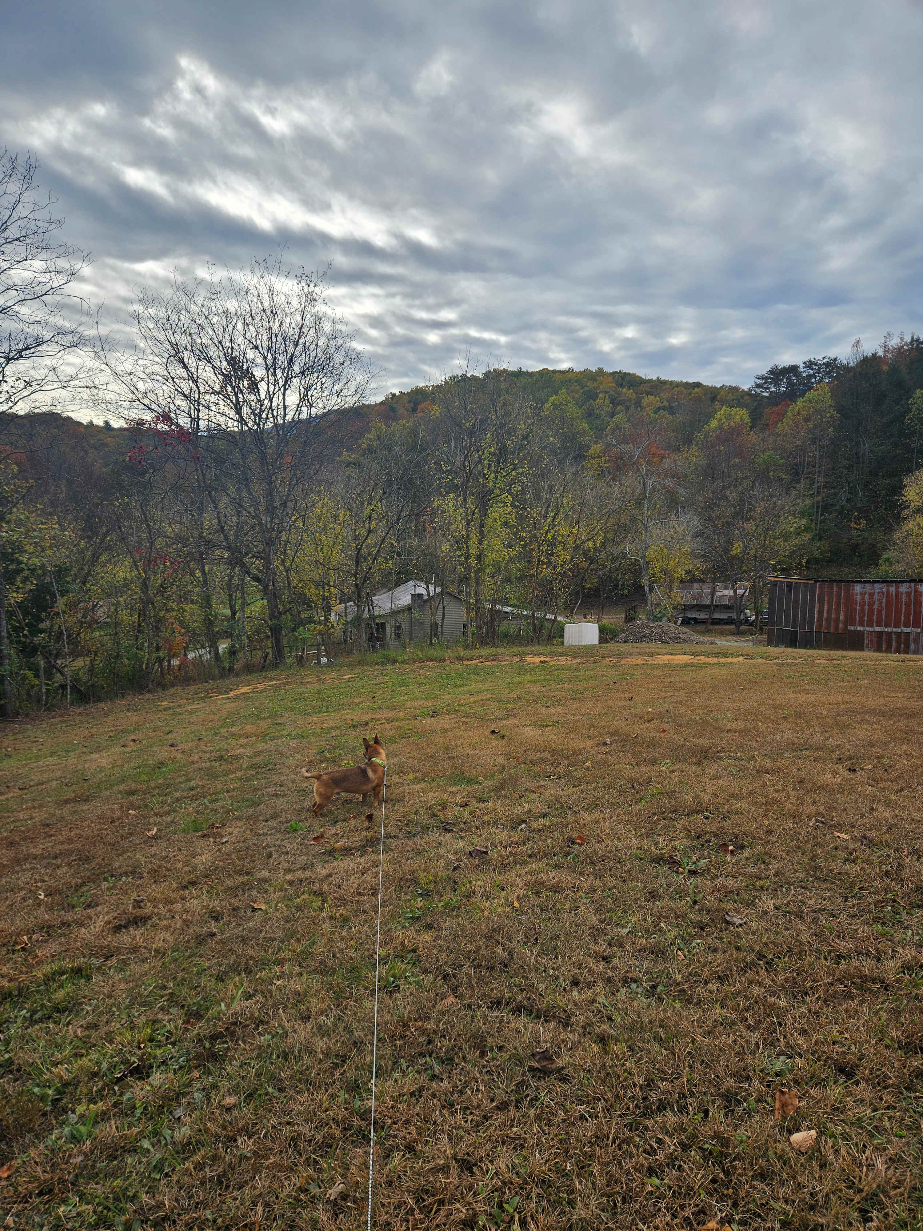 Honeysuckle Springs Smoky Mountains