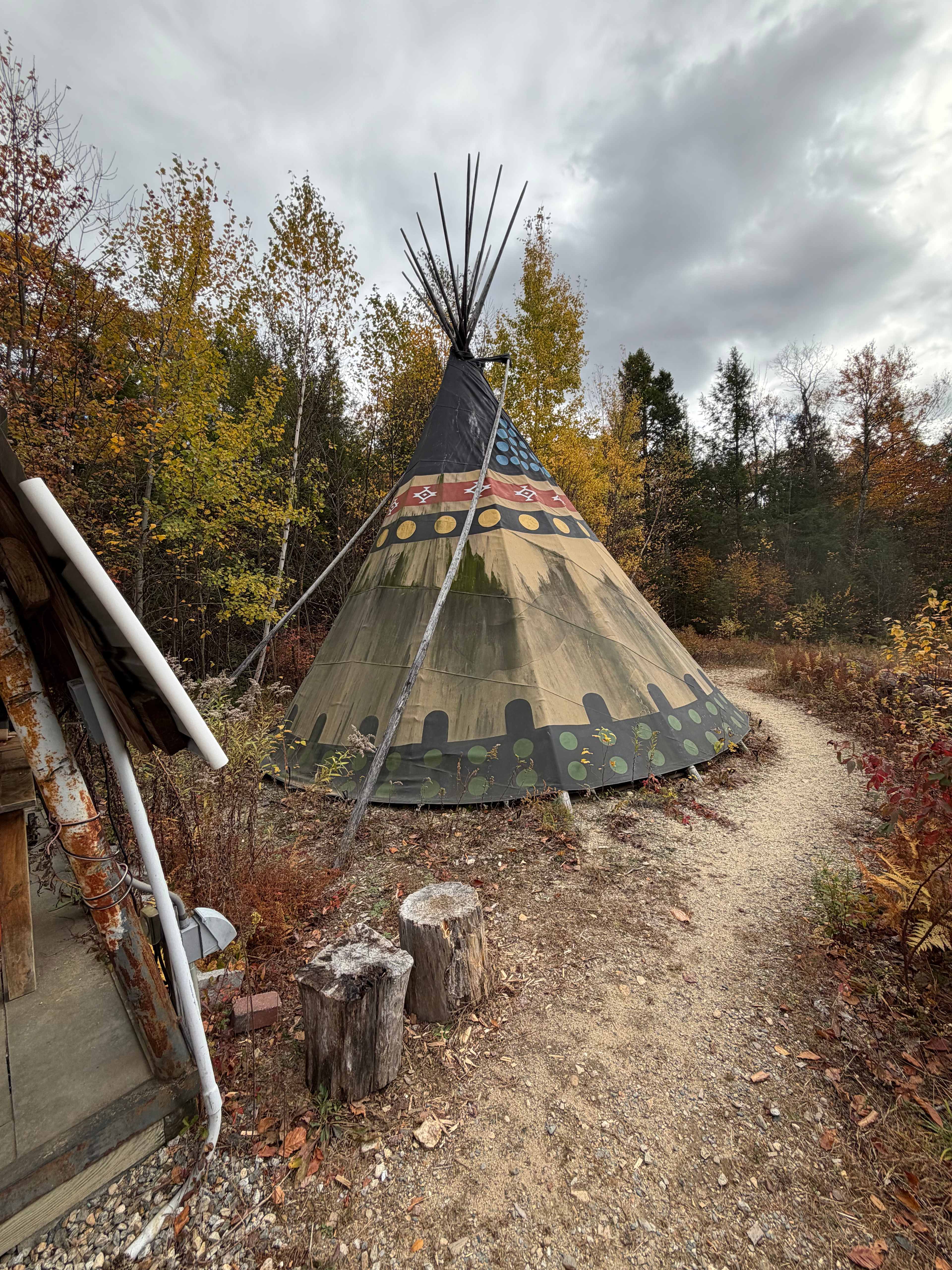 Salamander Hollow Healing Habitat