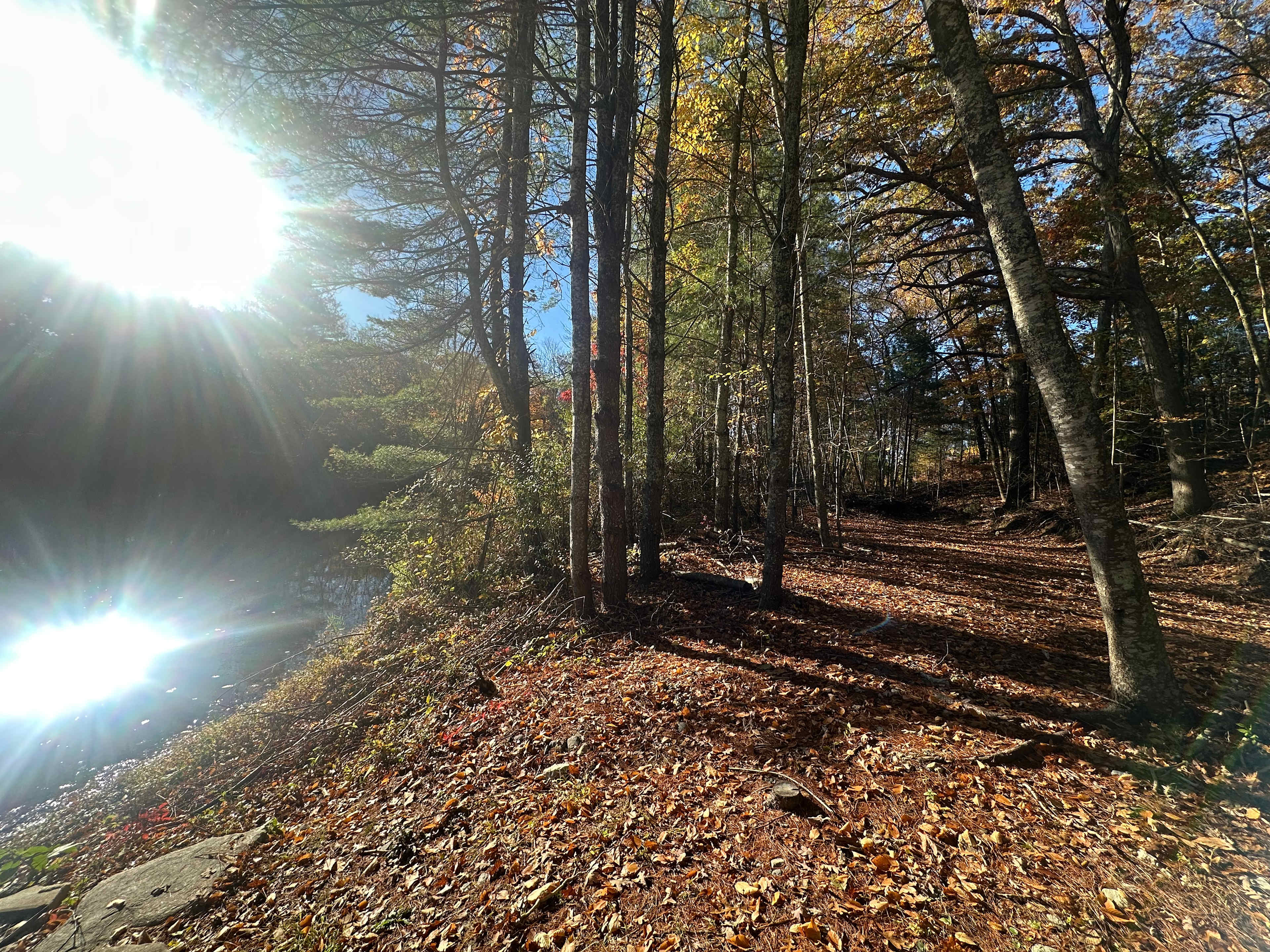 Zichichi Family Farm