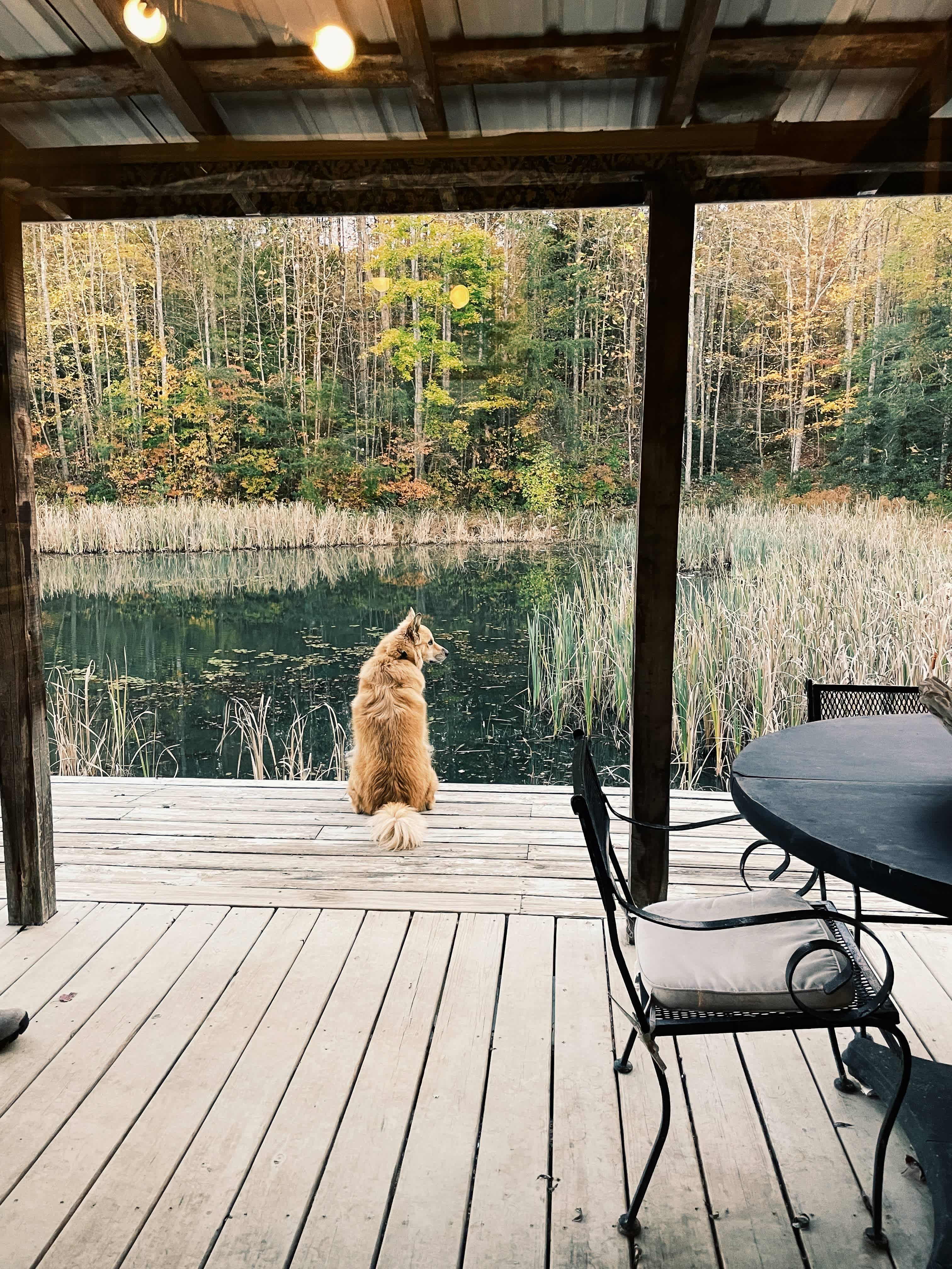 The Harrican Lakehouse