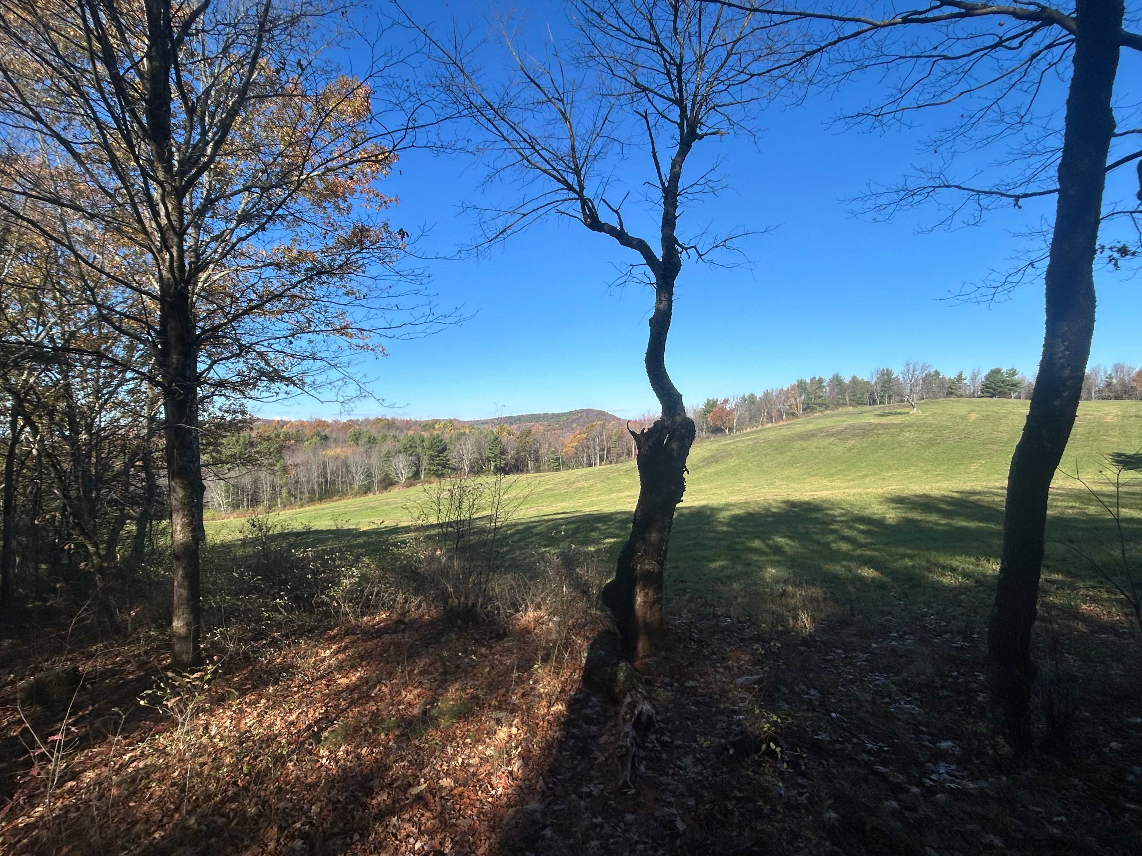 View from bedroom porch