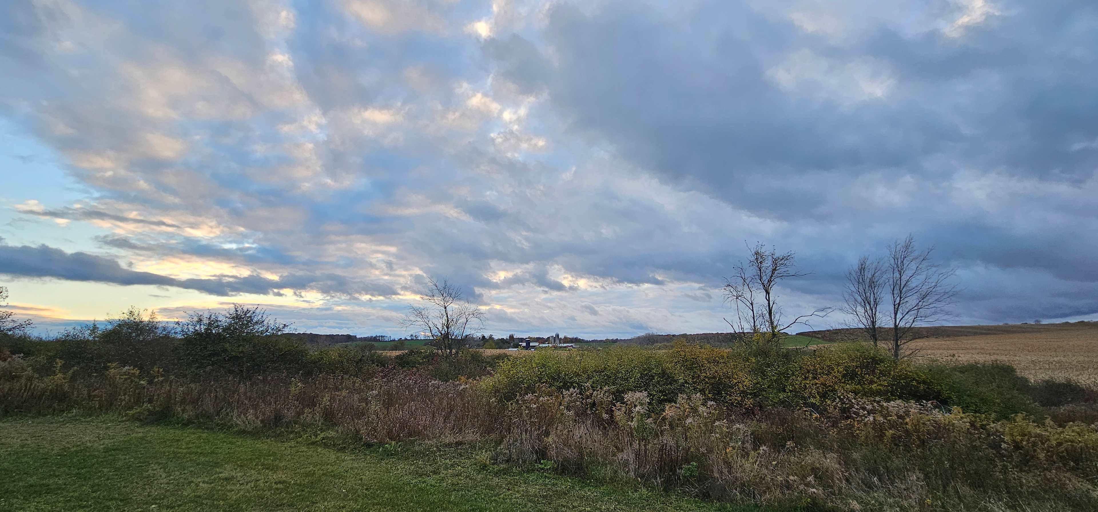 Overgrown Ridge Camp By Letchworth