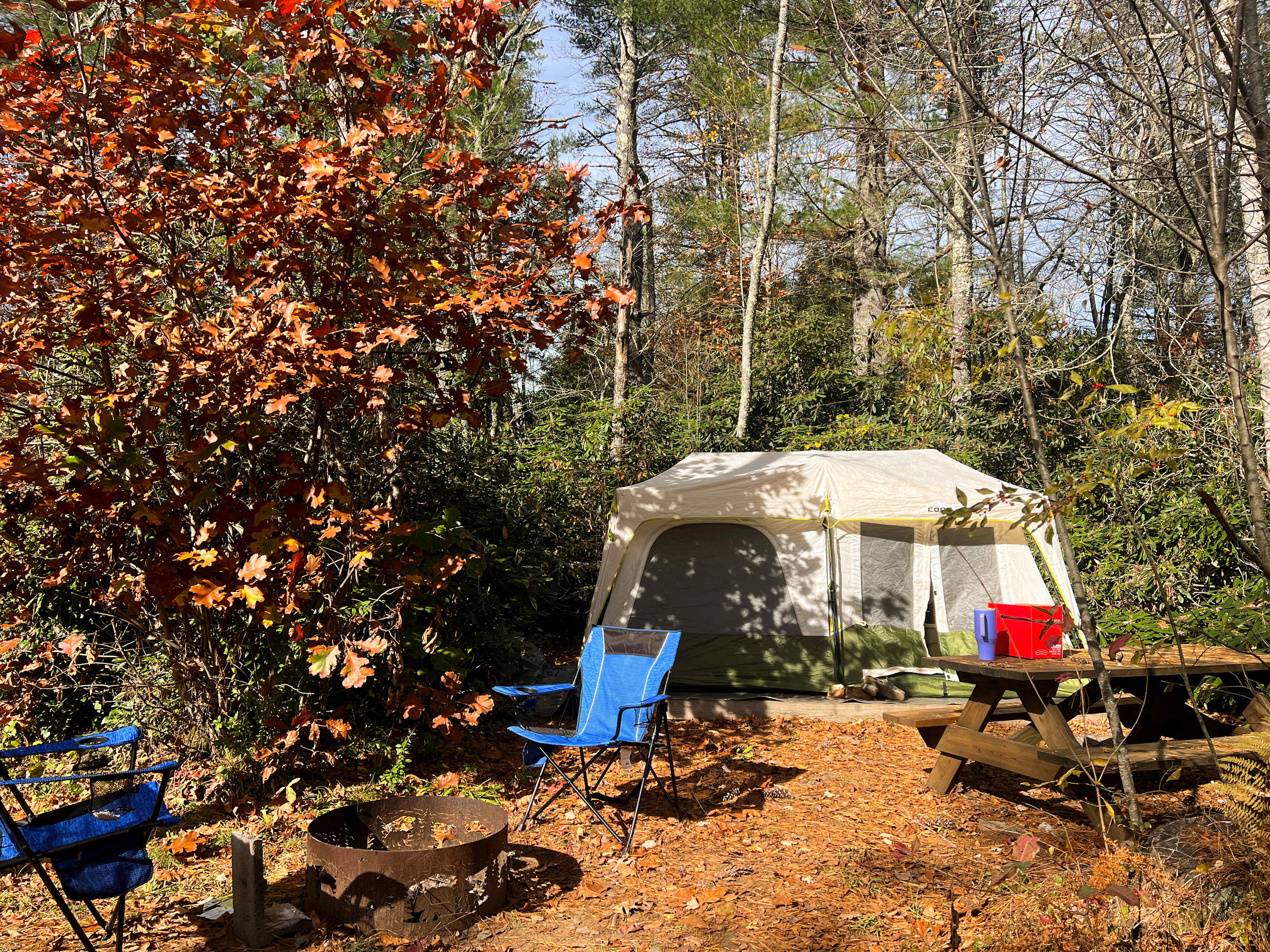 The Pineola - Camp, Lodge, Taproom