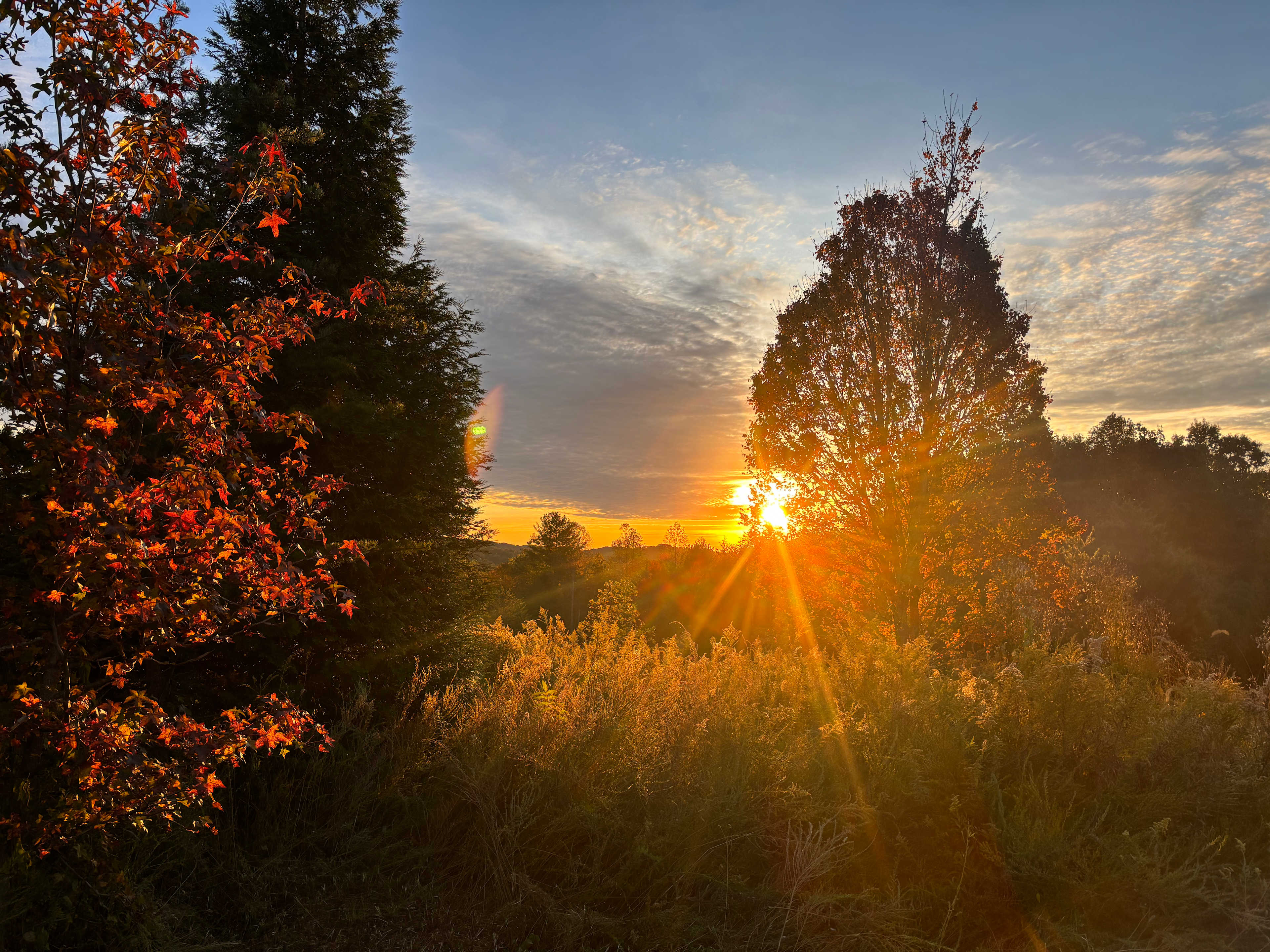 Take a Hike on a Wild side! Camping