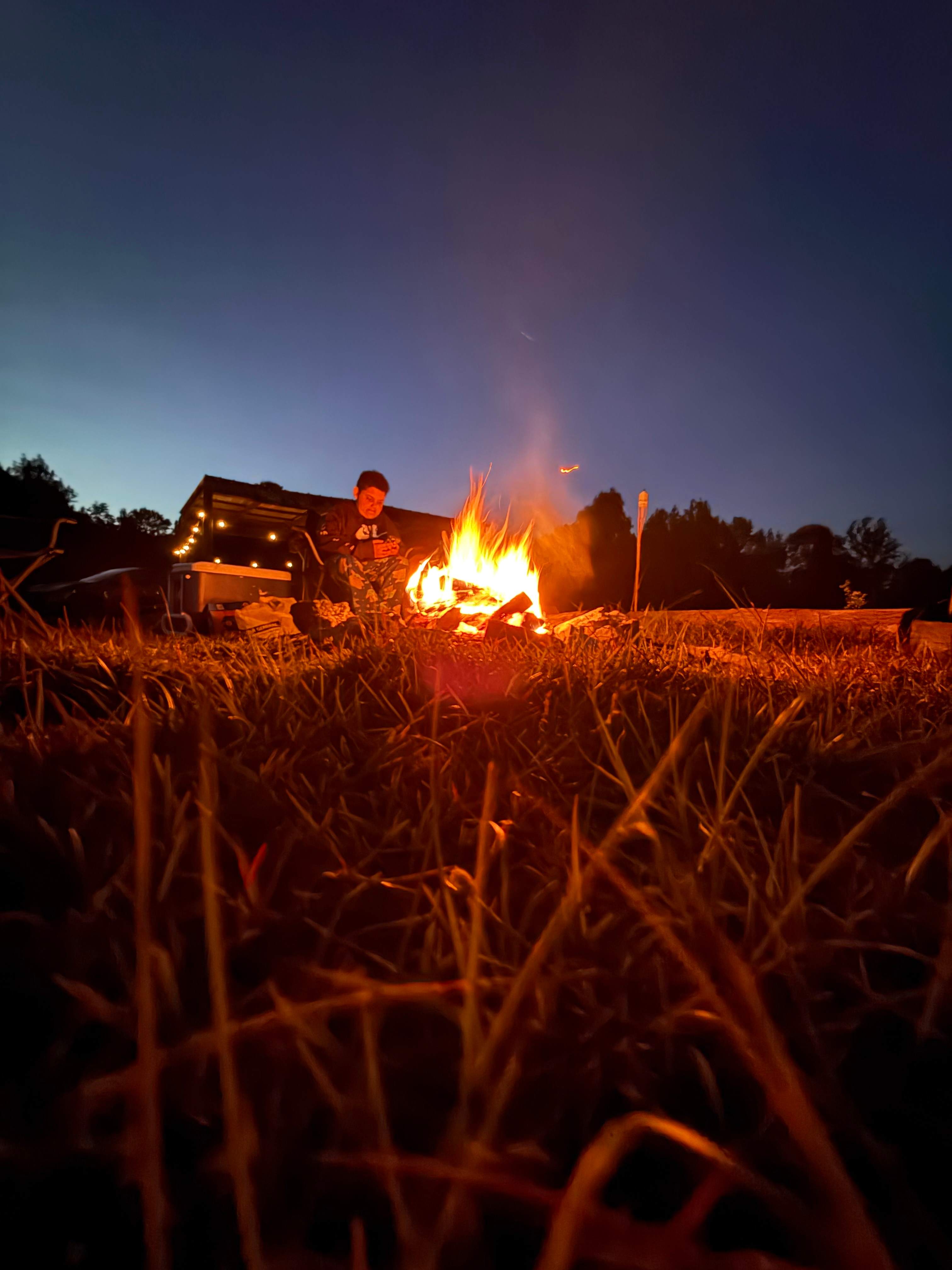 The Pine Tree Retreat