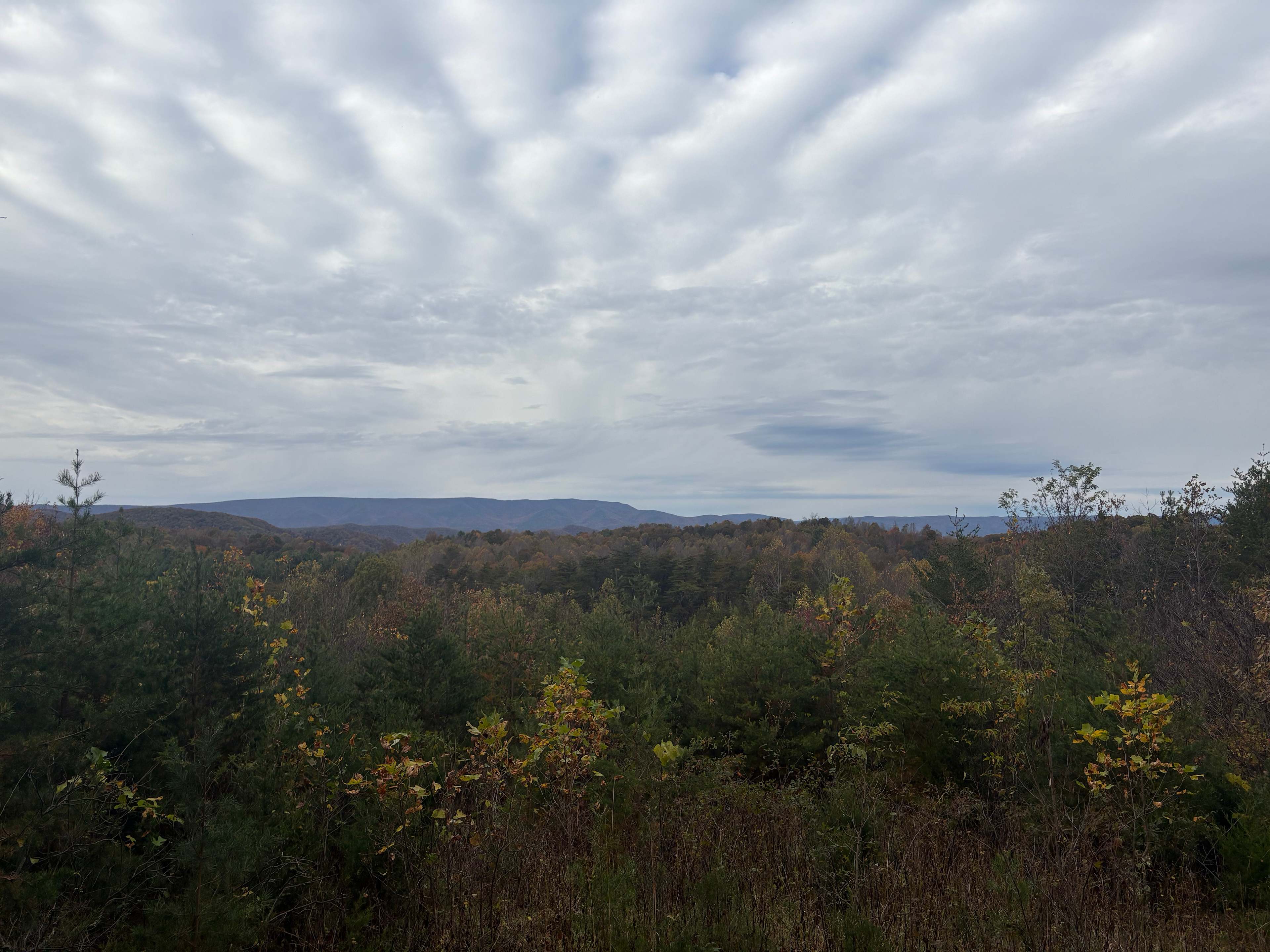 Private Mountain Stargazing