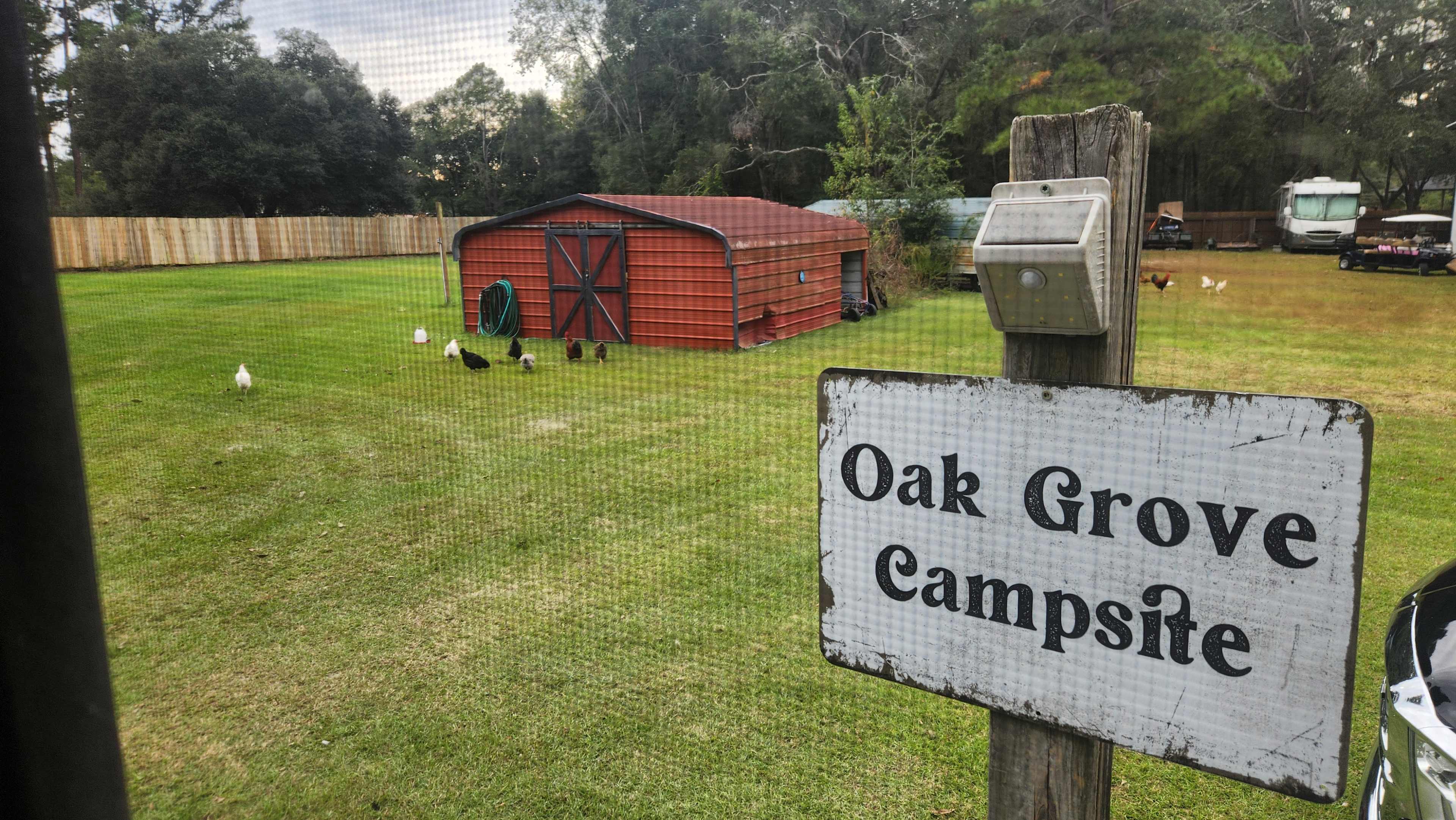 Oak Grove Campsite