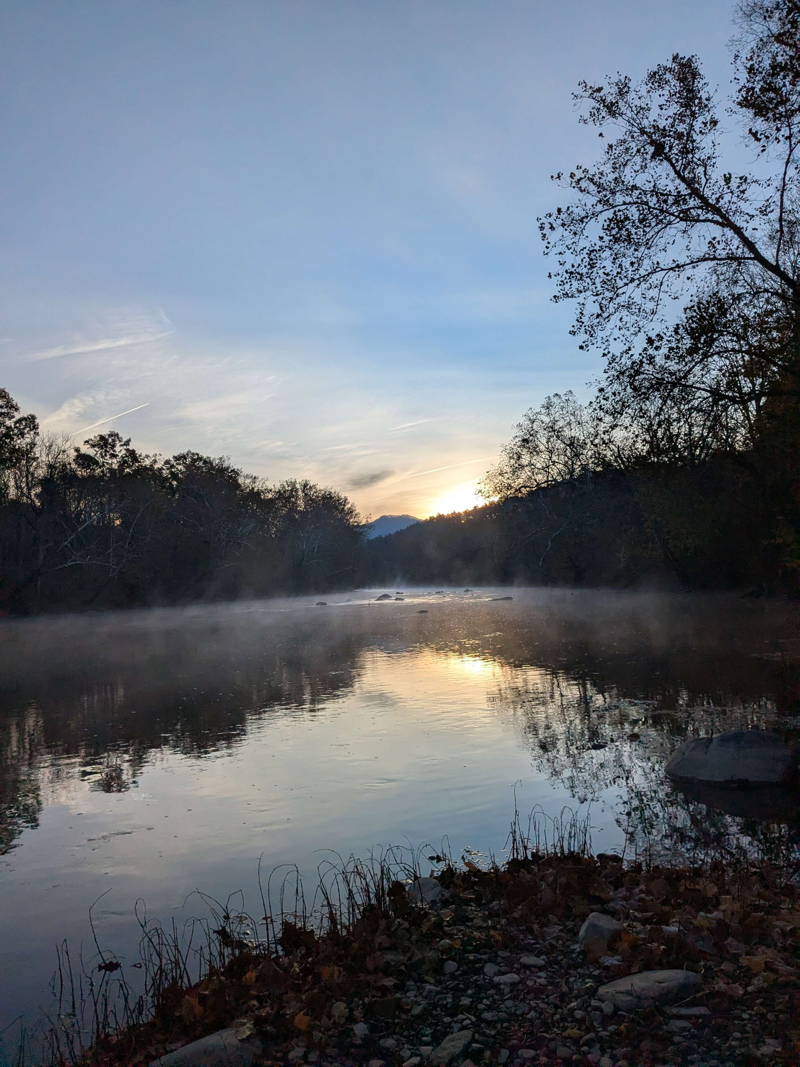 Camping in the shade on the river