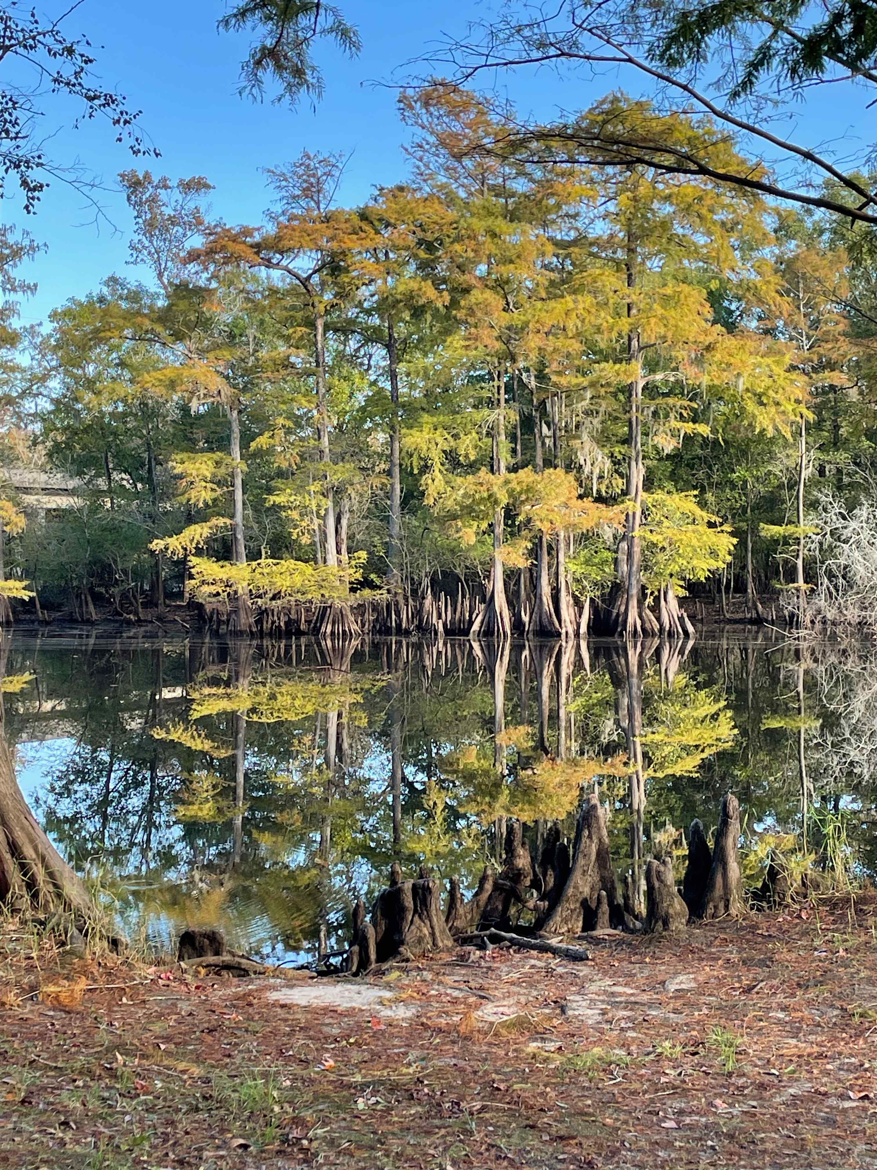 Black River Camping Ventures